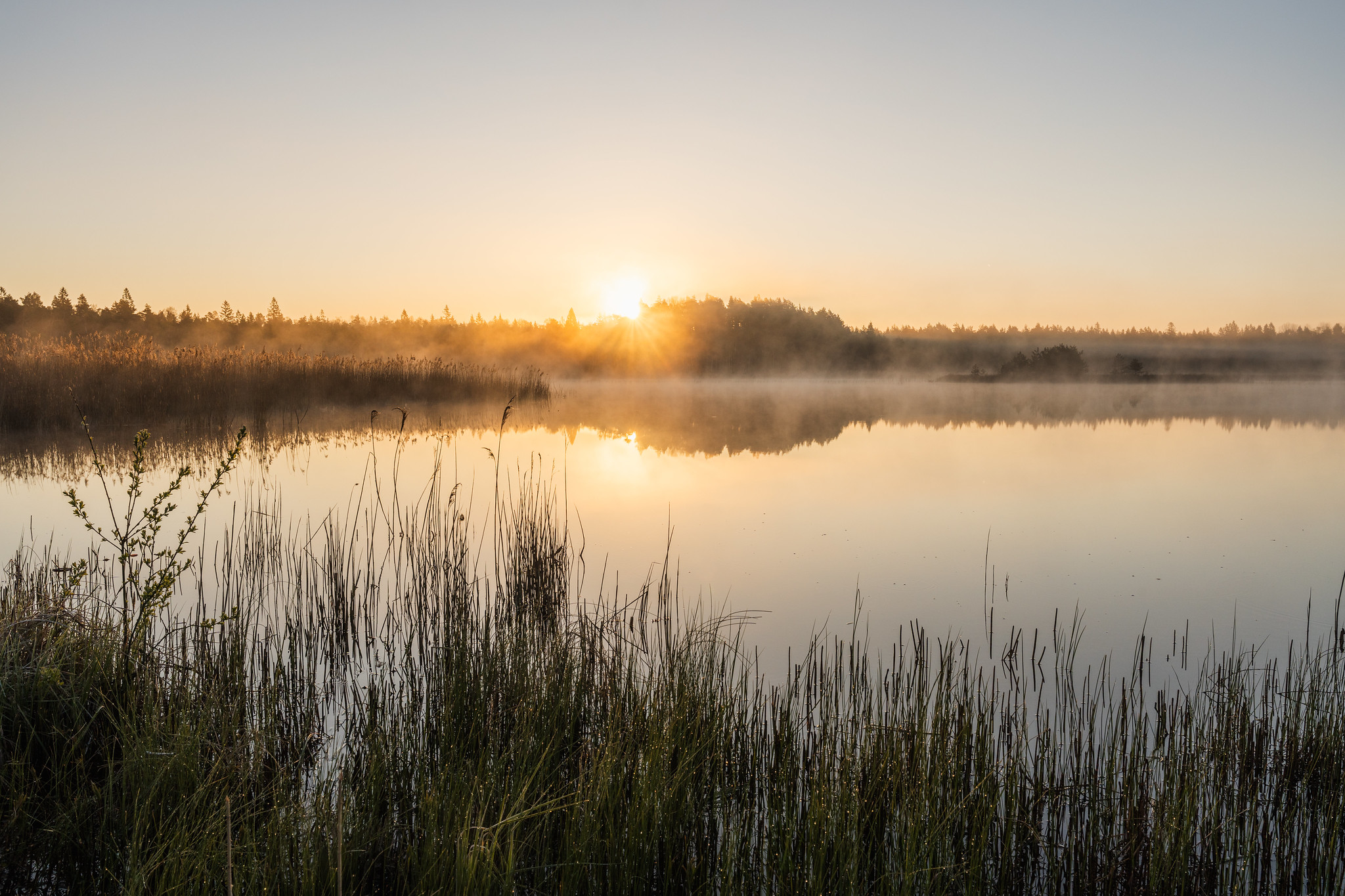 Päiksetõus Tihu järve ääres