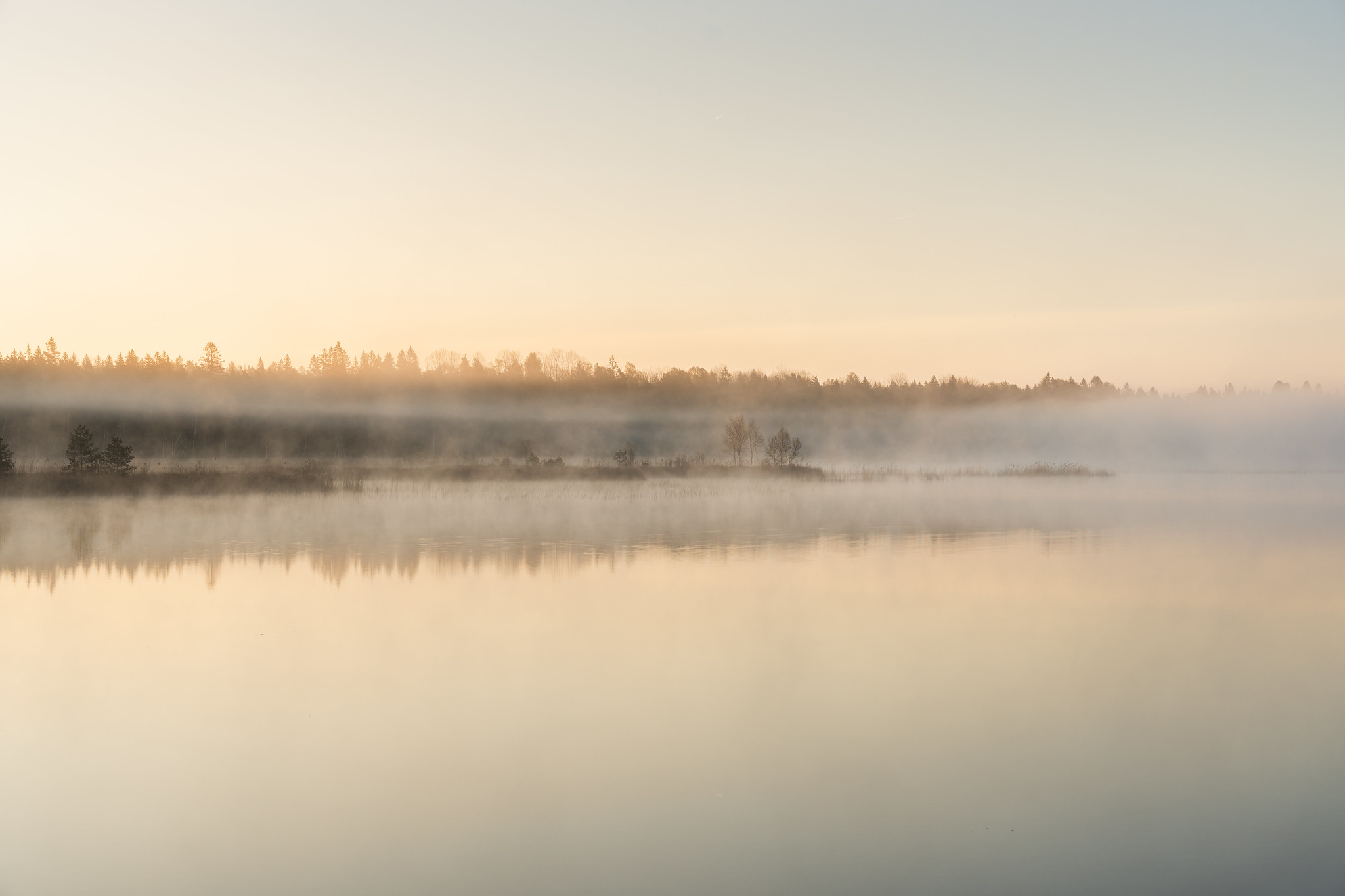 Tihu järv hommikuses udus