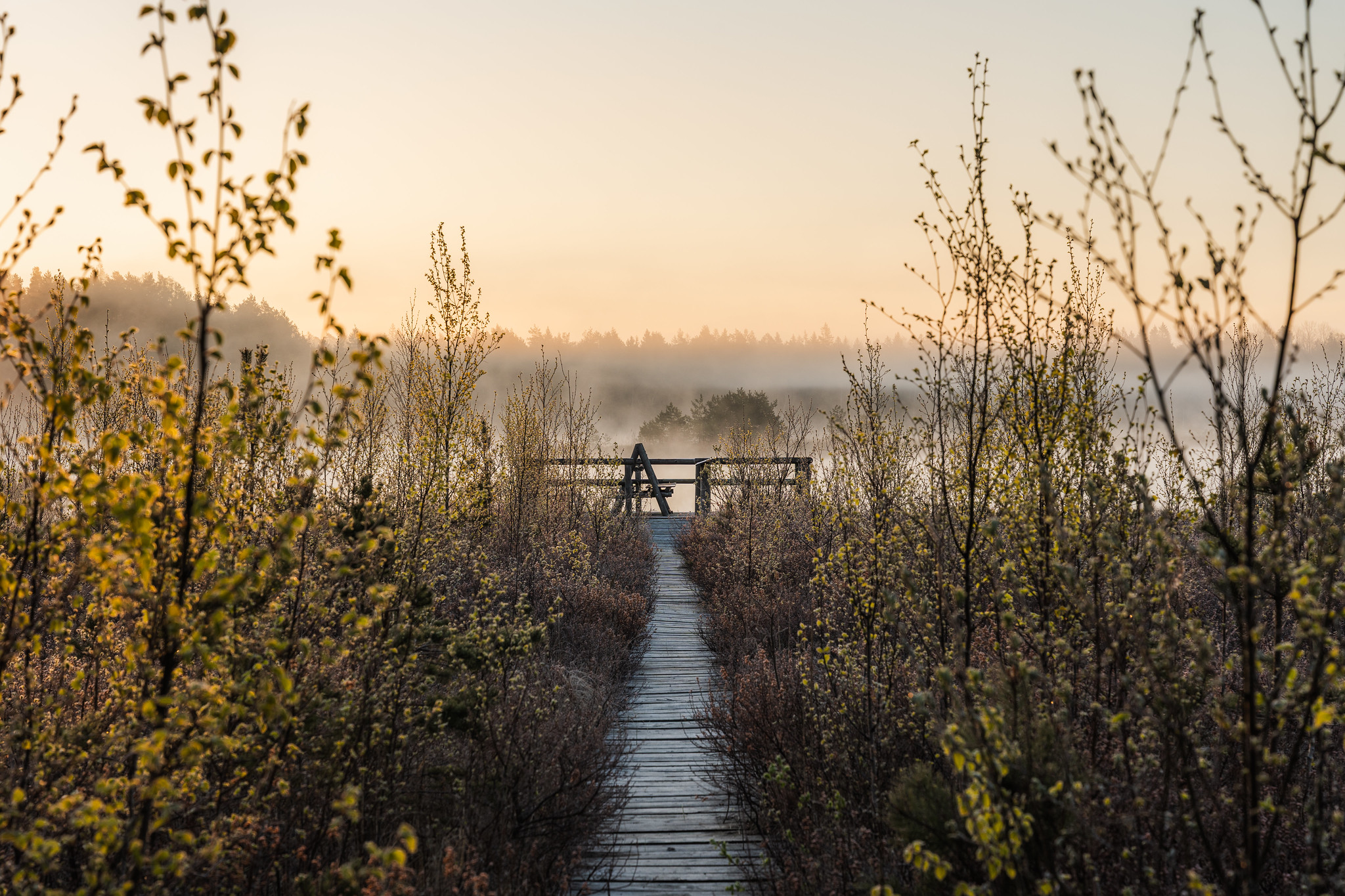 Vaateplatvorm Tihu järve ääres