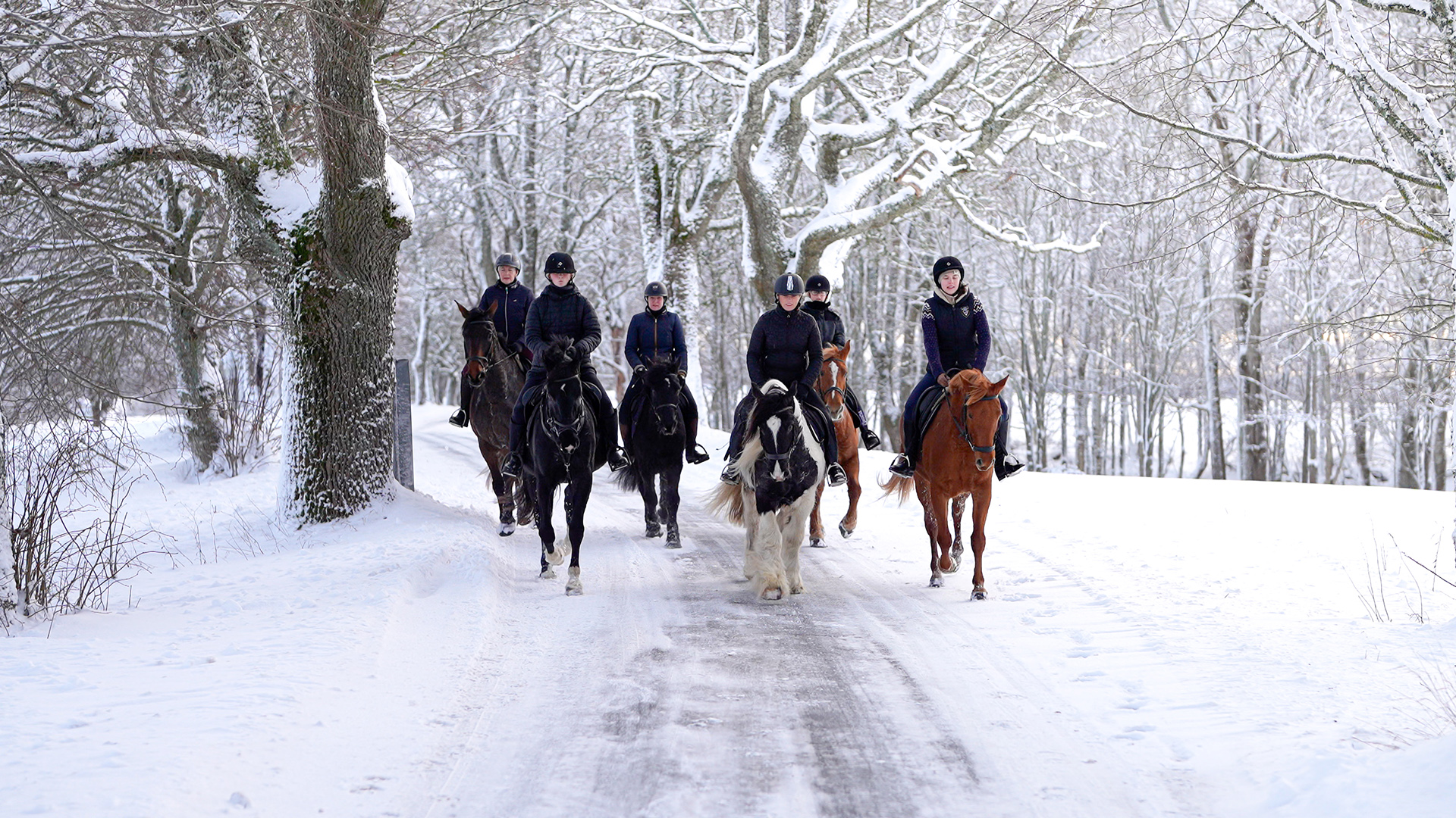 Metsapiiga Talu ratsamatk