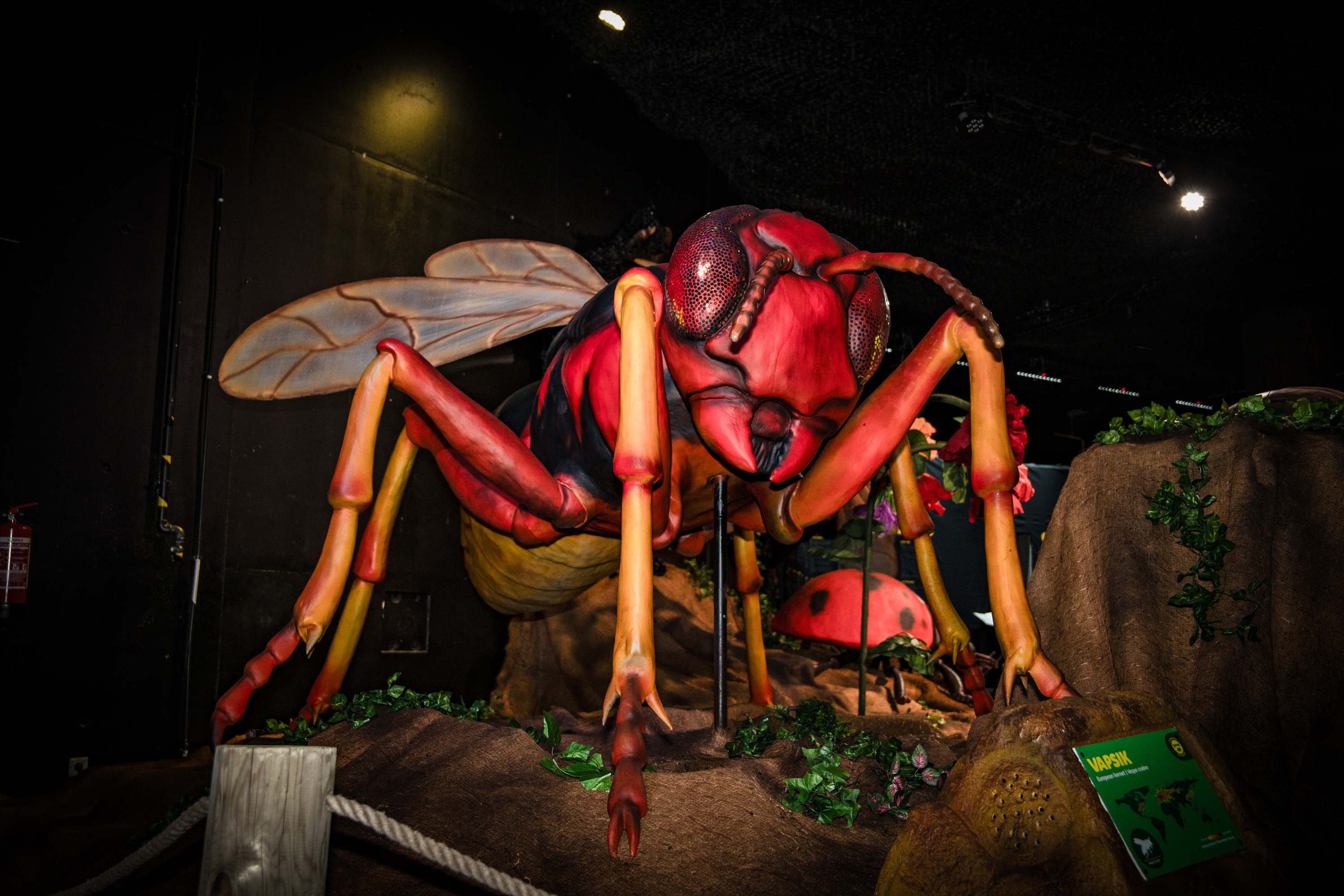 AHHAA zinātnes centra izstāde "Ahhaa, milzu kukaiņi!"