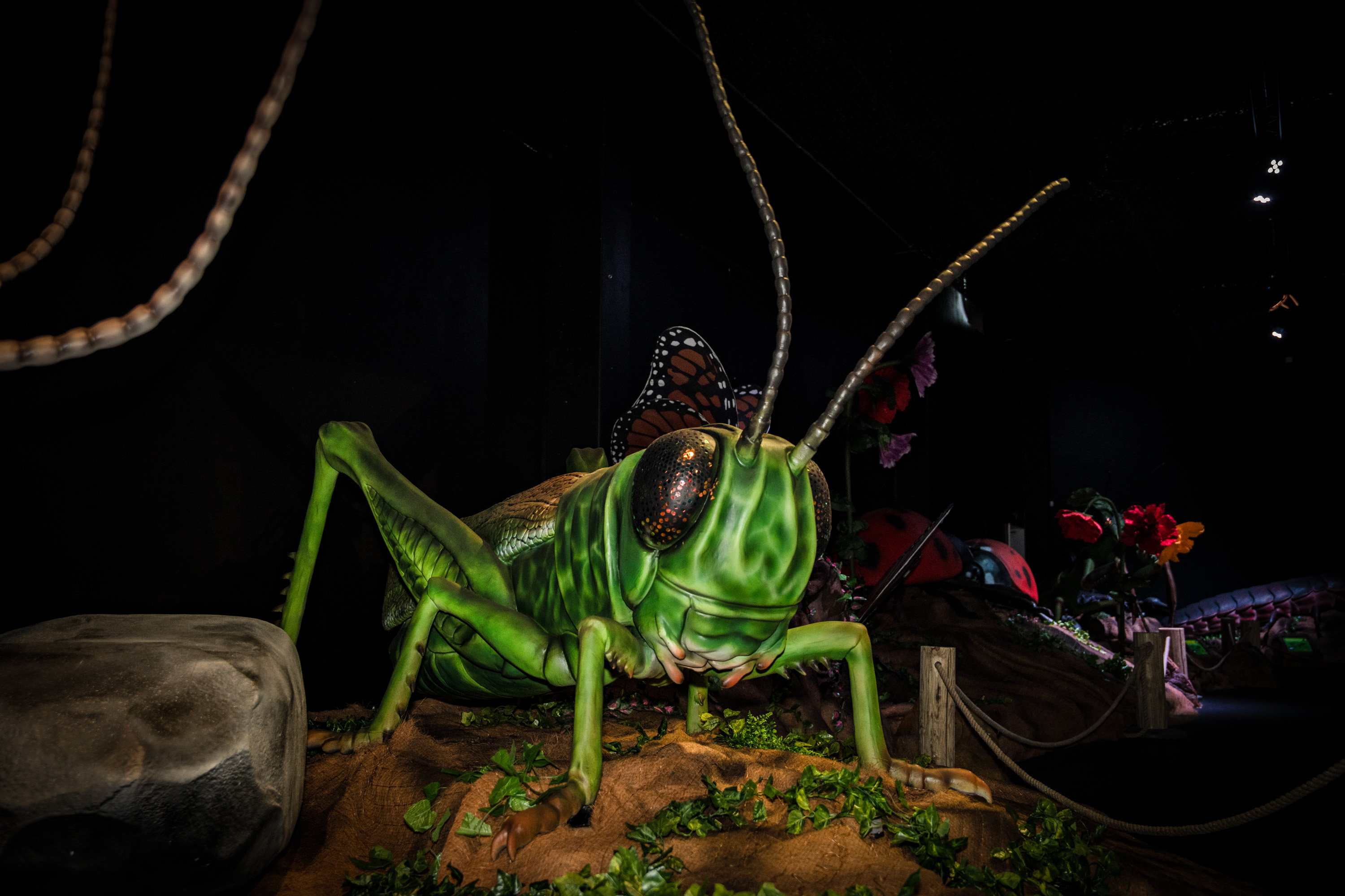 Nāc ar ģimeni atklāt kukaiņu pasauli Ahhaa zinātnes centrā