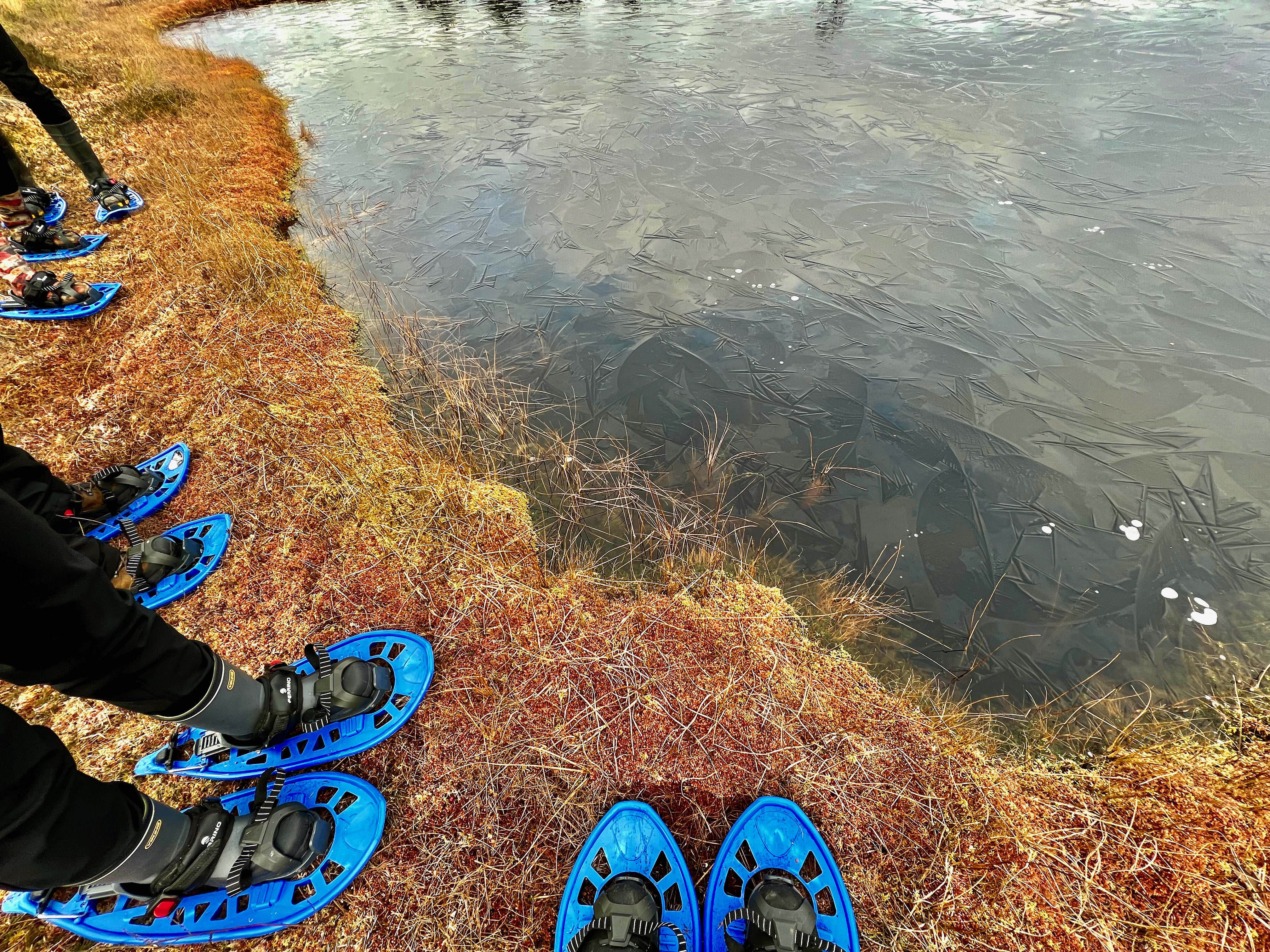 Räätsamatkamine, lauka serval