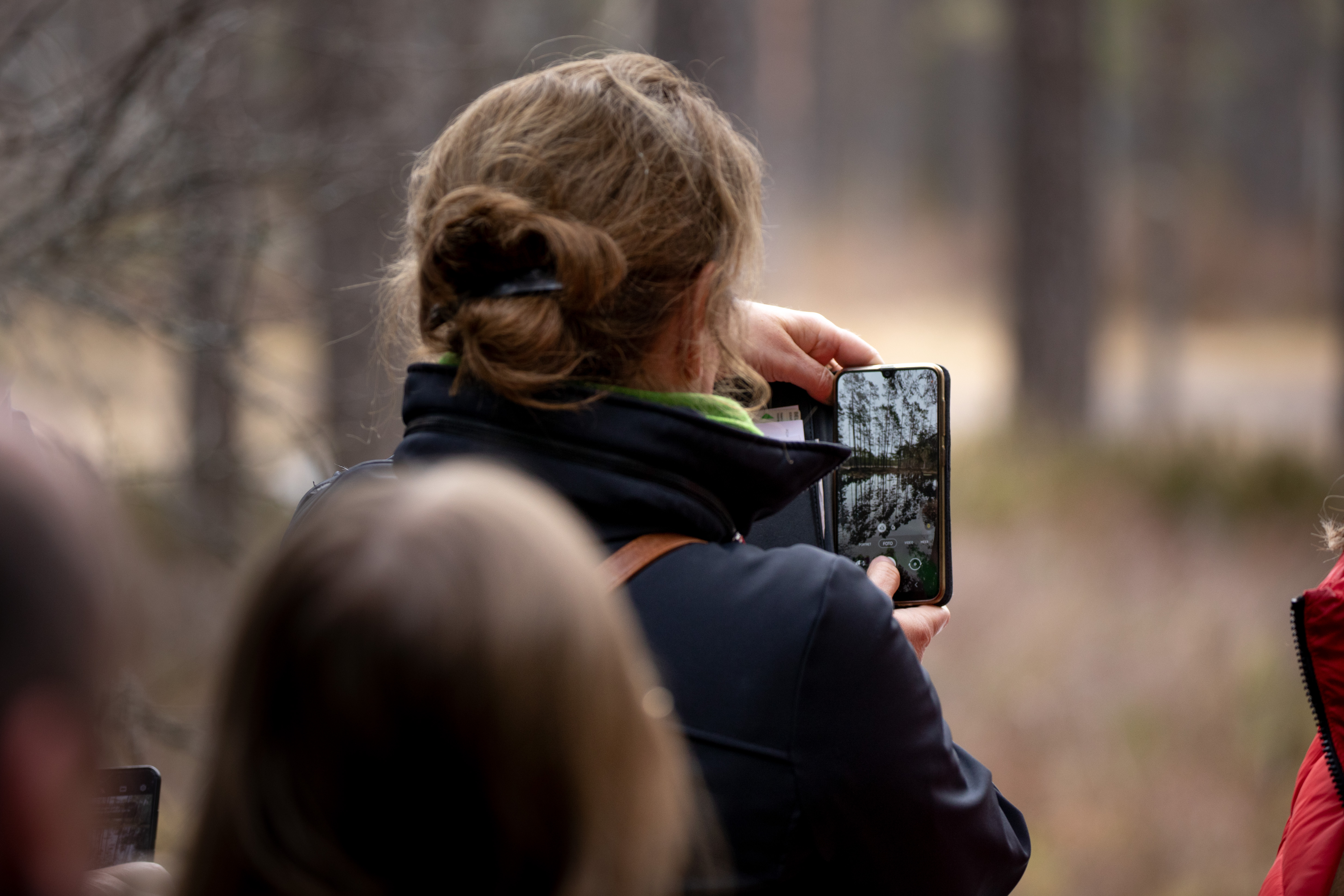 Eesti seiklus Viru rabas