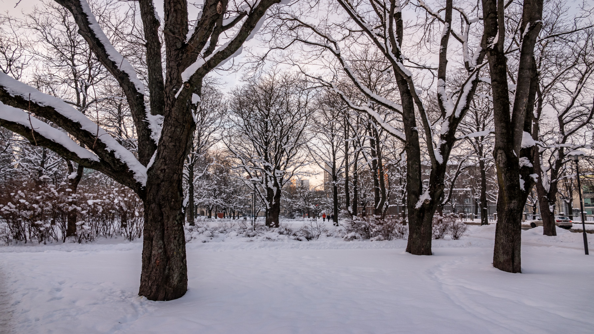 Politseipark ja mänguväljak