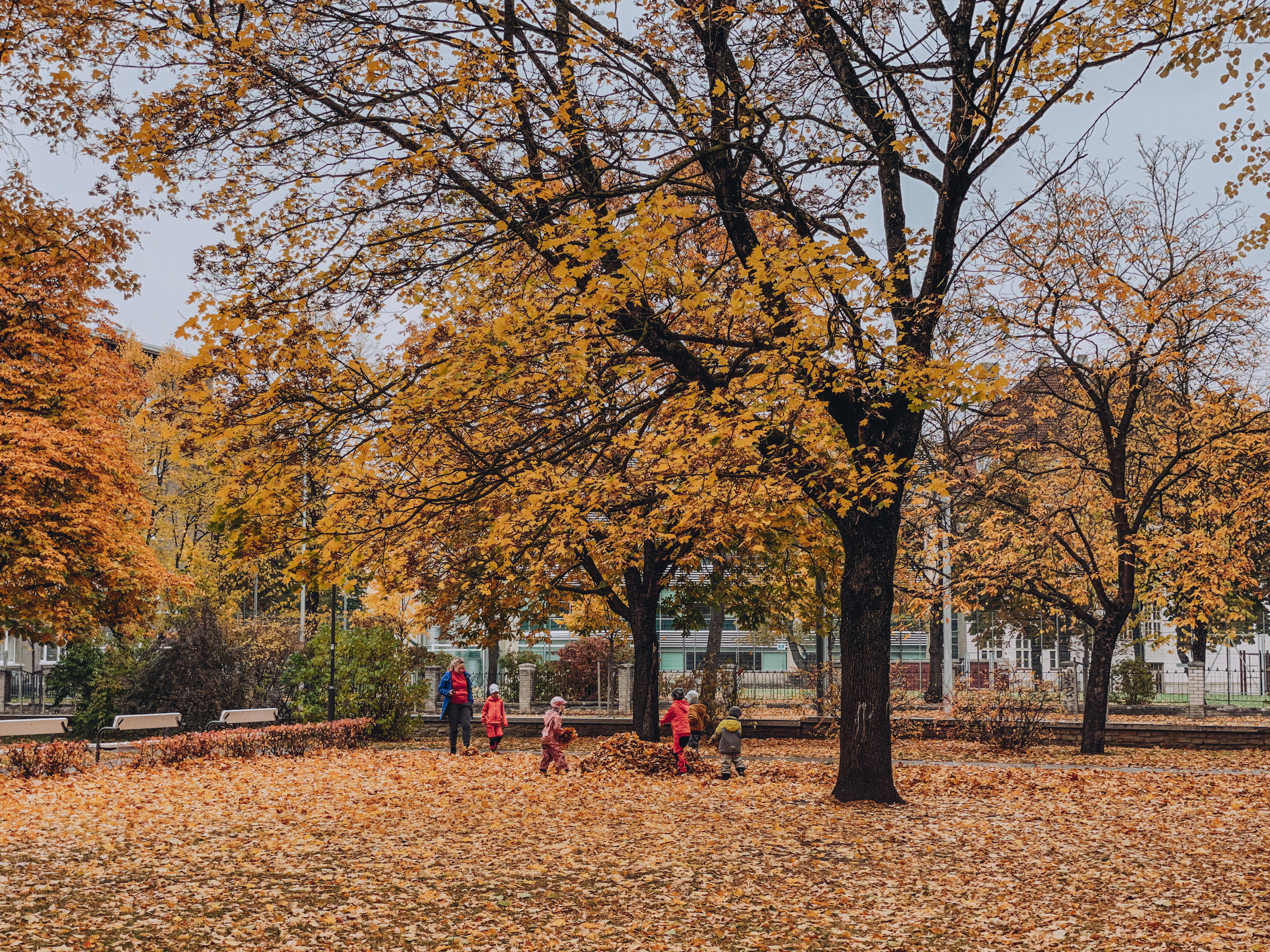 Politseipark ja mänguväljak