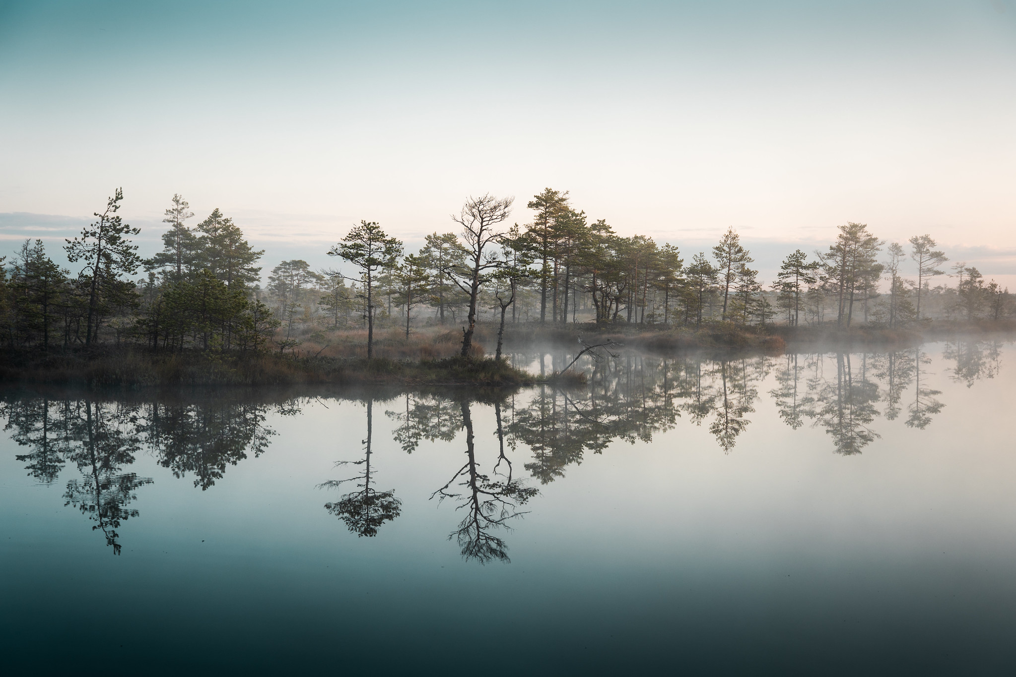 Varahommikune Tolkuse raba