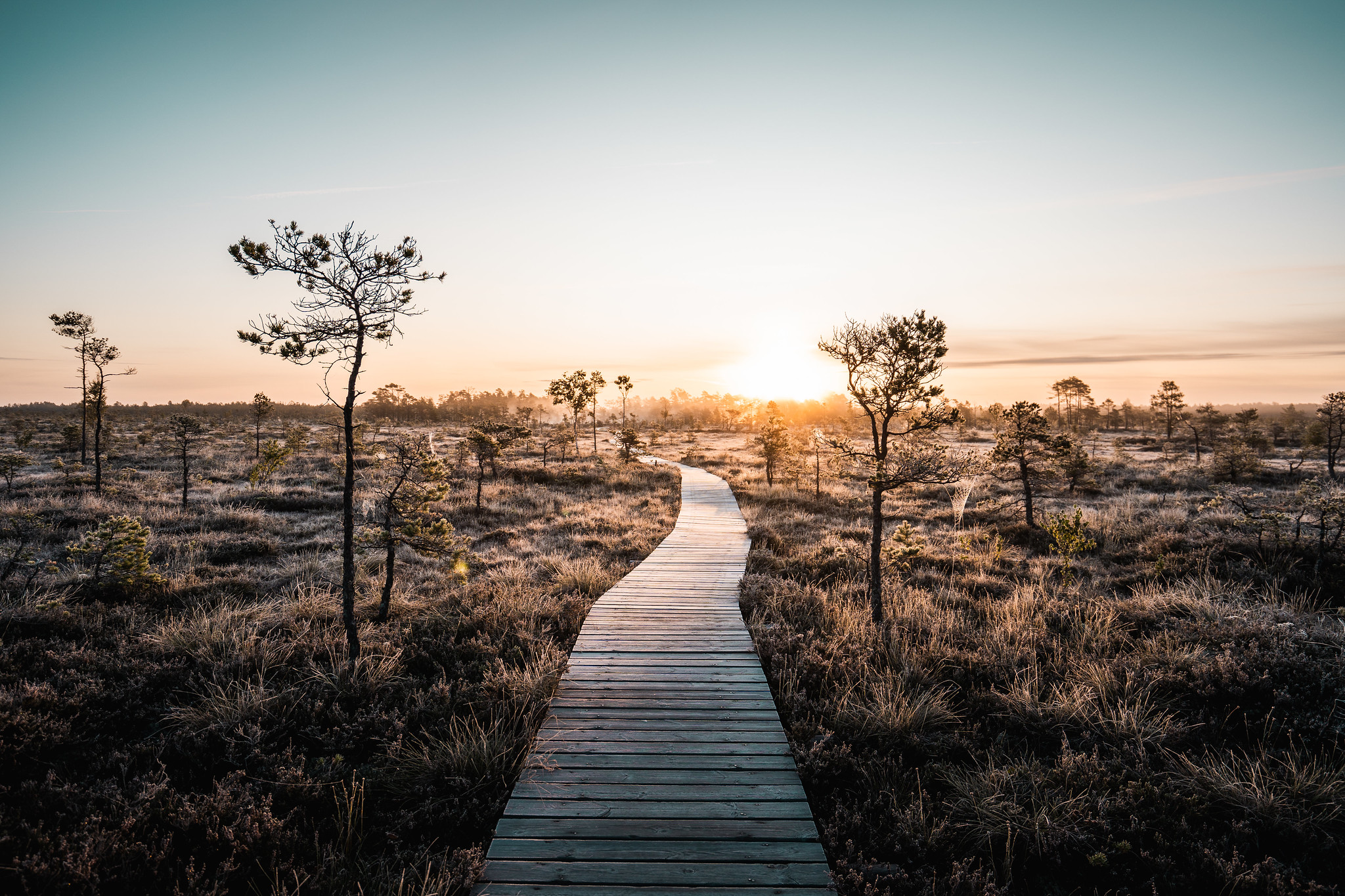 Matkarajad Pärnumaal - Tolkuse laudtee rappa