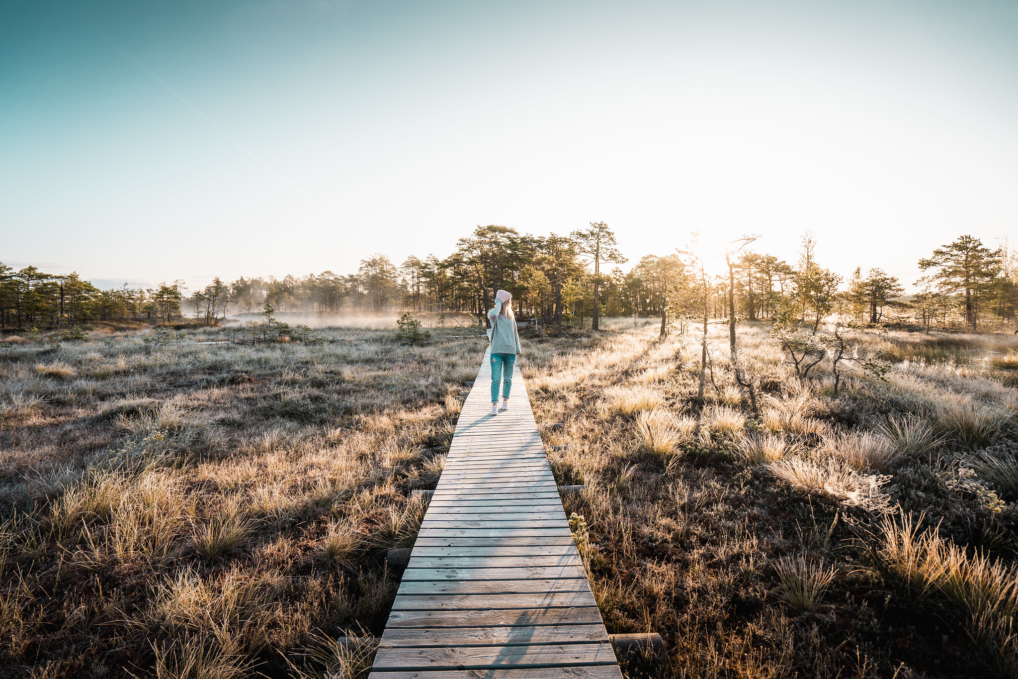 Rannametsa-Tolkuse loodusõpperada