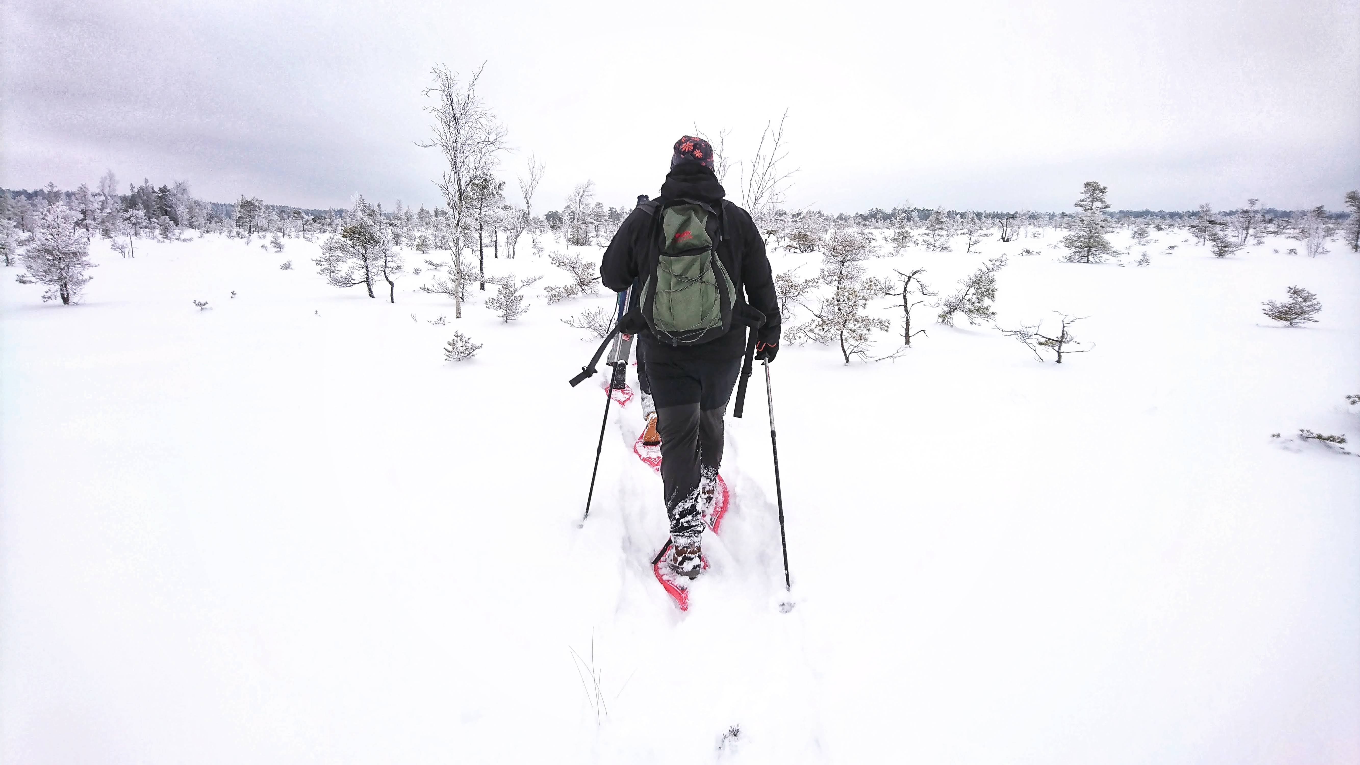 Talvine Rannametsa-Tolkuse räätsamatk