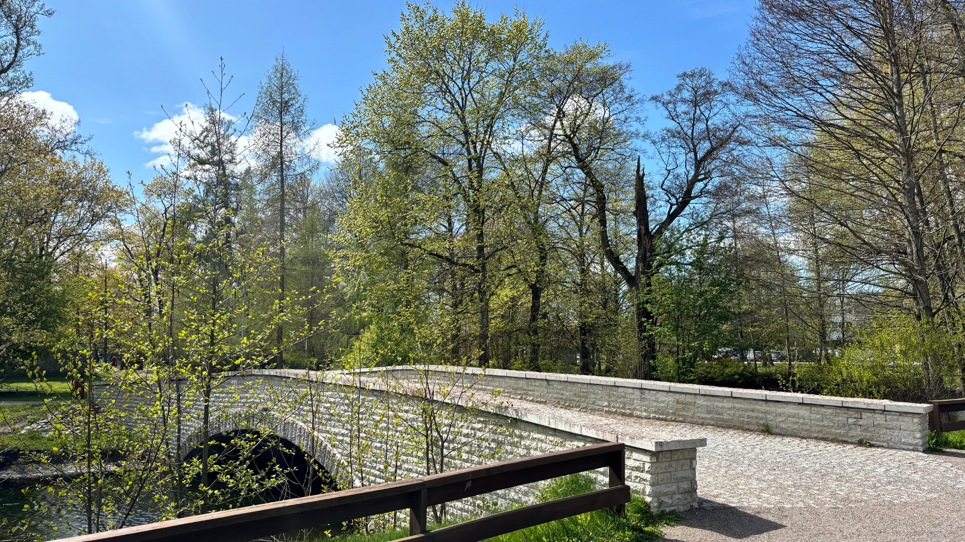 Löwenruhin puisto on romanttinen 6 ha:n kokoinen puistoalue, jota ympäröi vesi. Puisto sijaitsee Mustamäe- ja Linnu-katujen kulmassa. Puisto on saanut