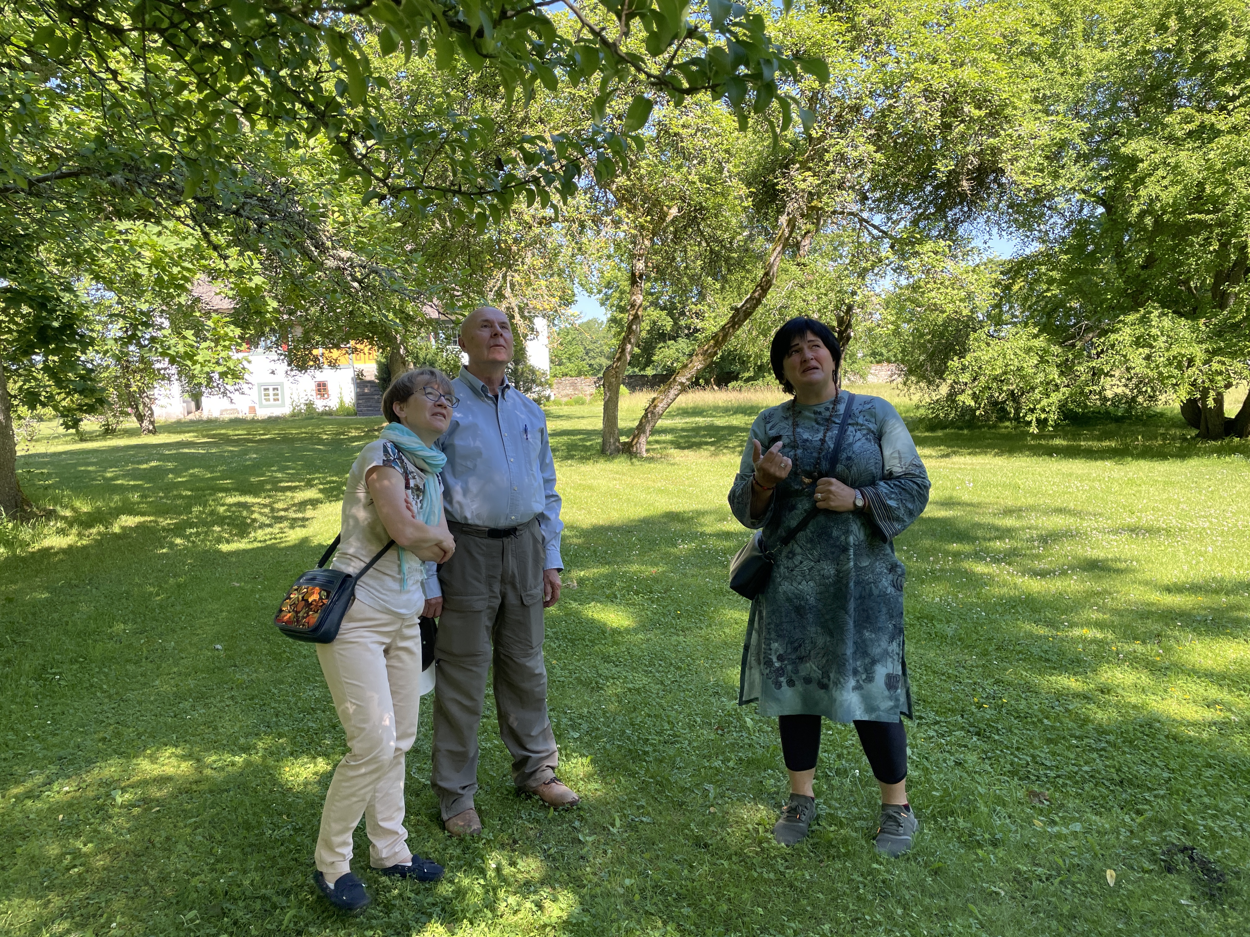 Mõisapargi külastus