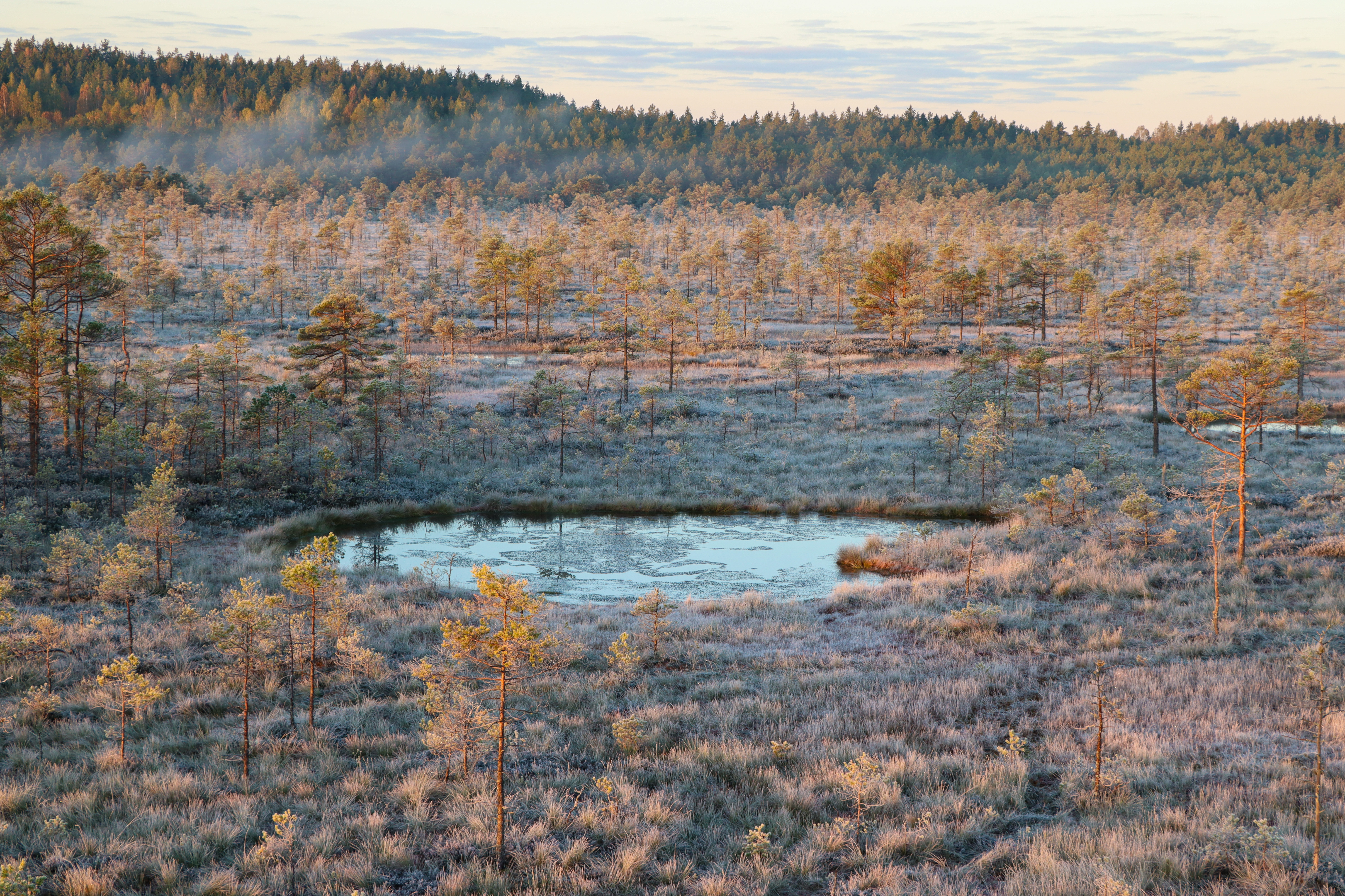 Räätsamatk rabas koos traditsioonilise Eesti toiduga
