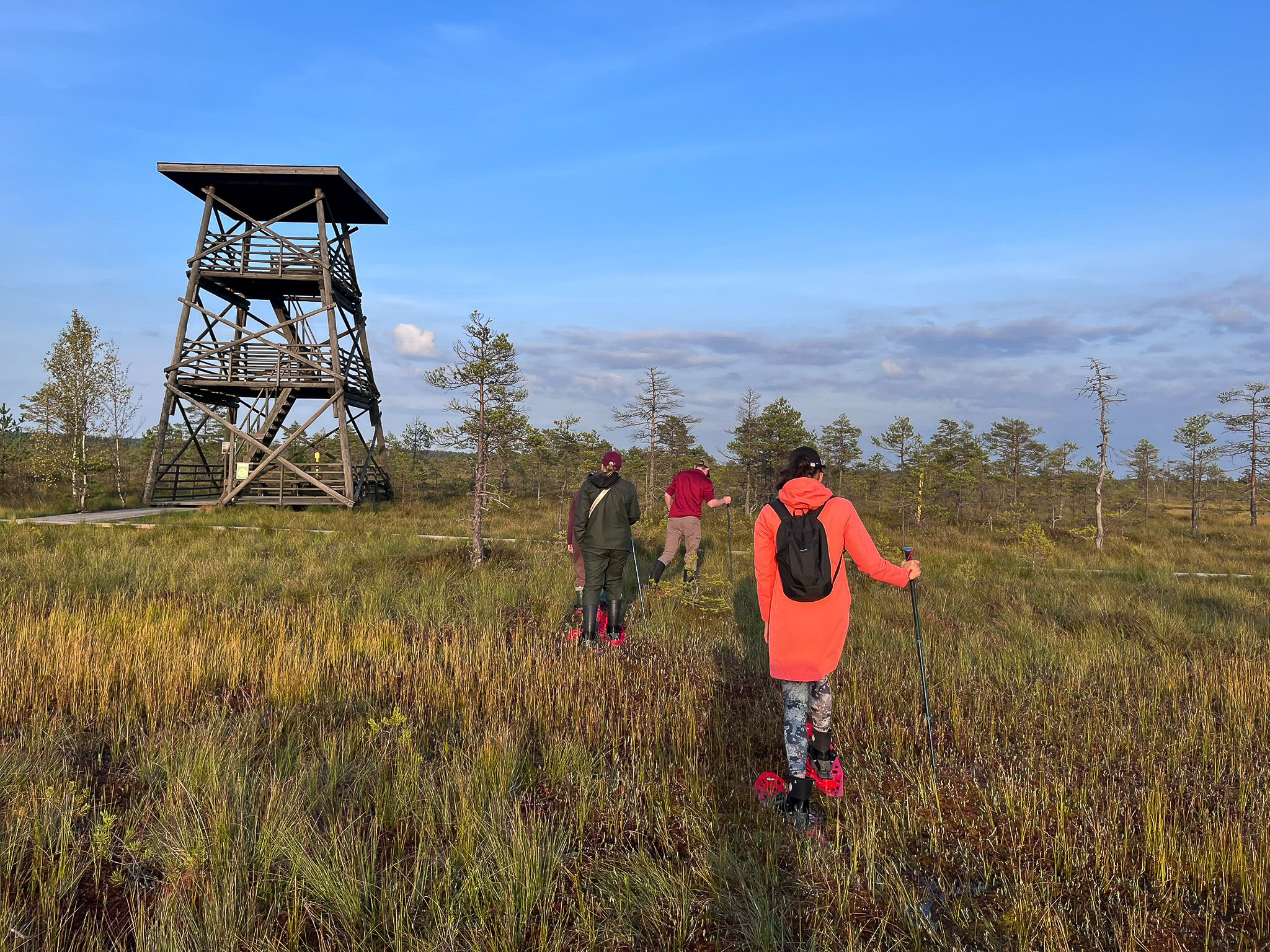 No skatu torņa var baudīt skaistus skatus uz purva ainavu