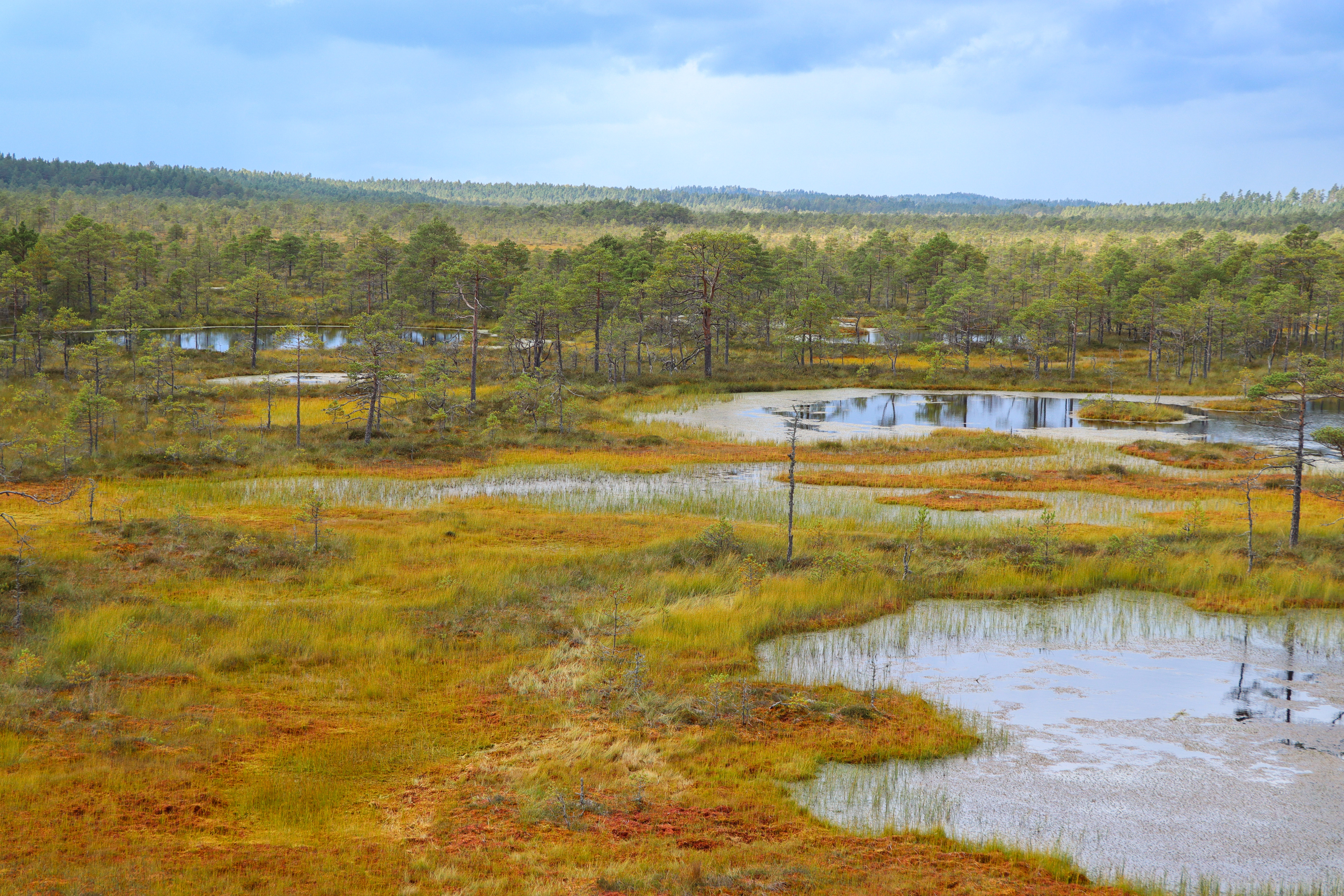 Syksy on suon värien aika