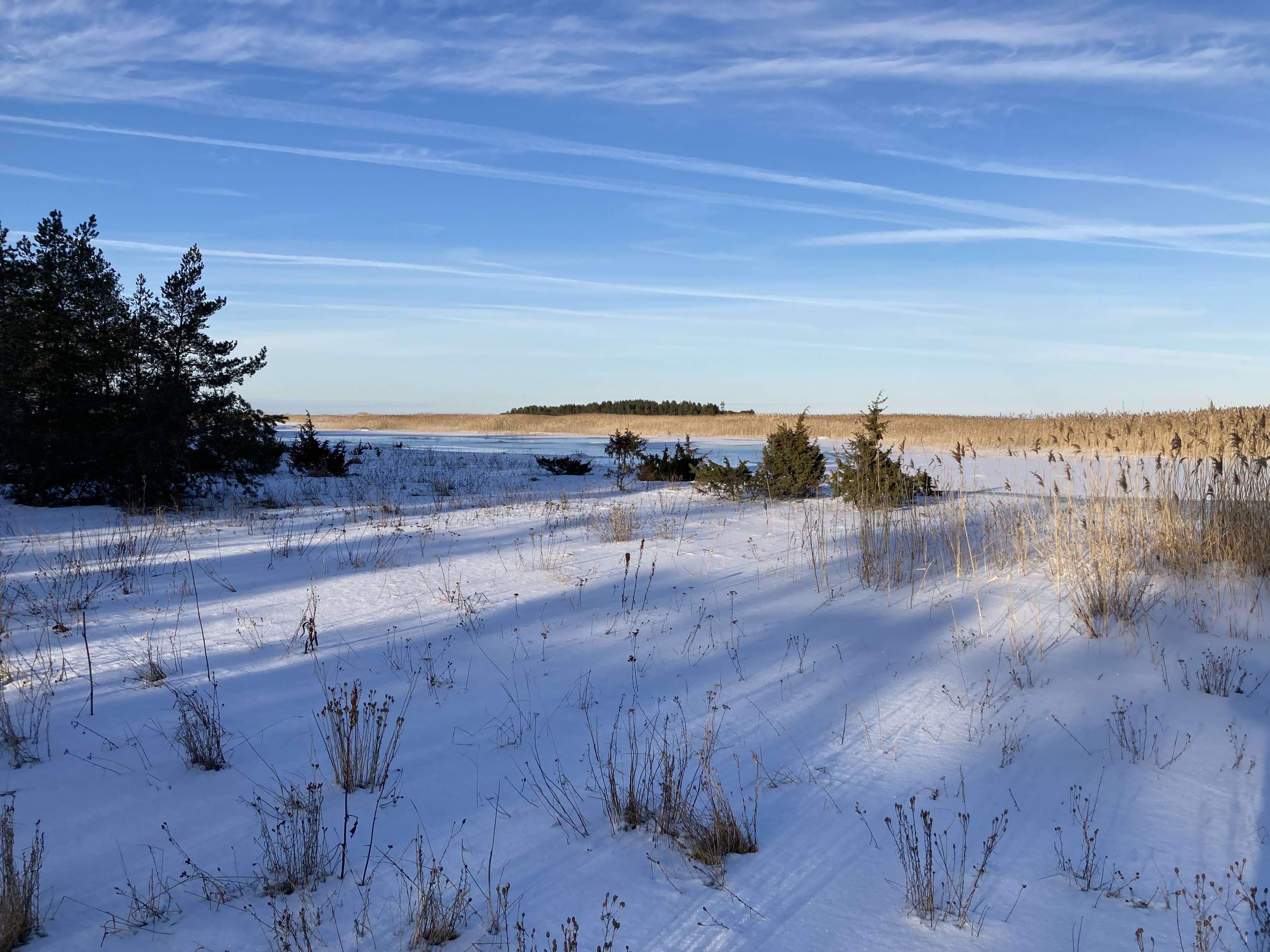 Talvise Vormsi rannamaastik koos laidudega