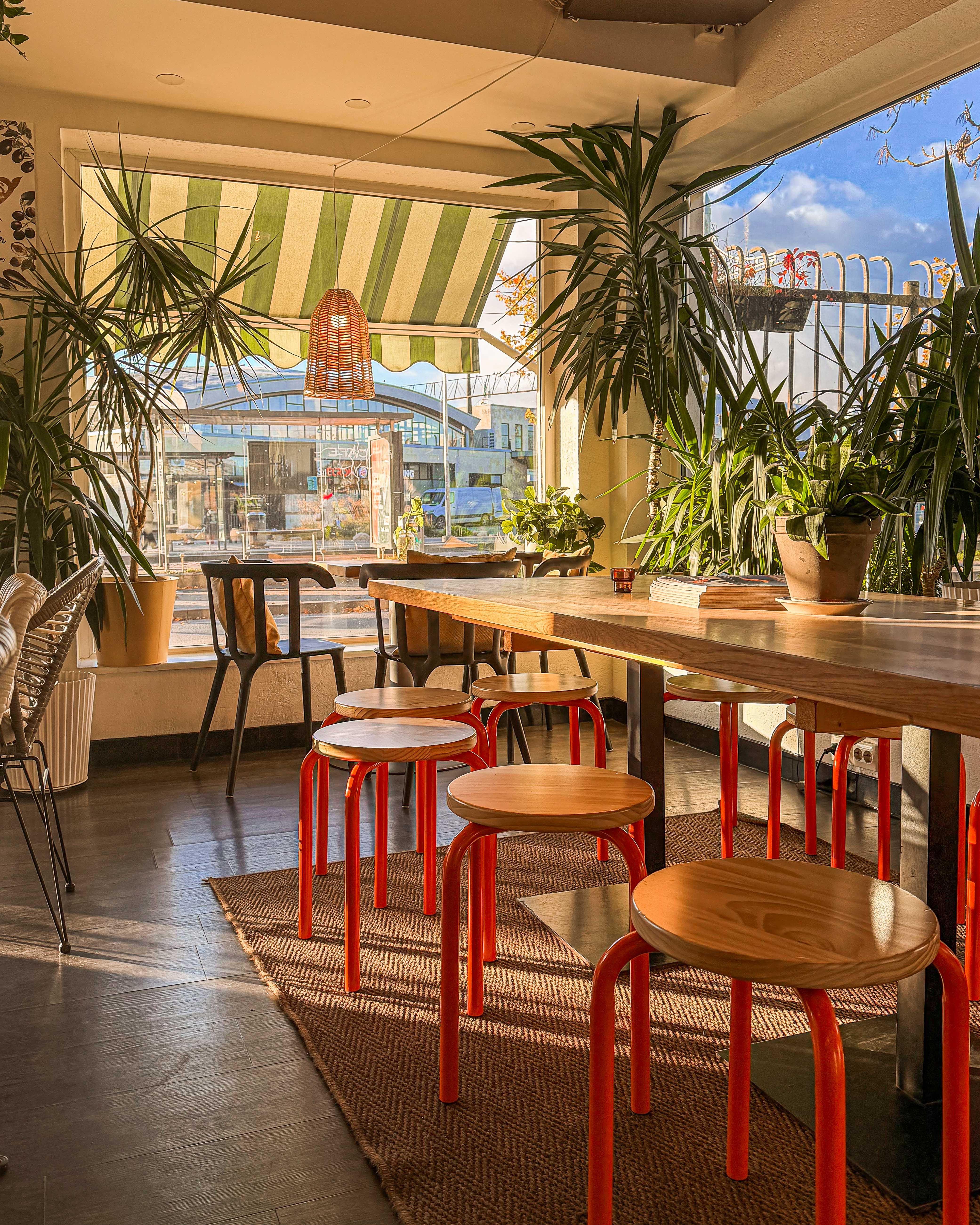 Valgusküllane Rohe kohvik roheluse ja naturaalse sisekujundusega