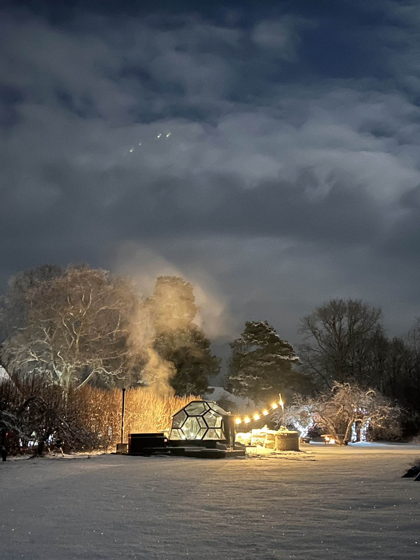 Peetri talu klaaskuplid