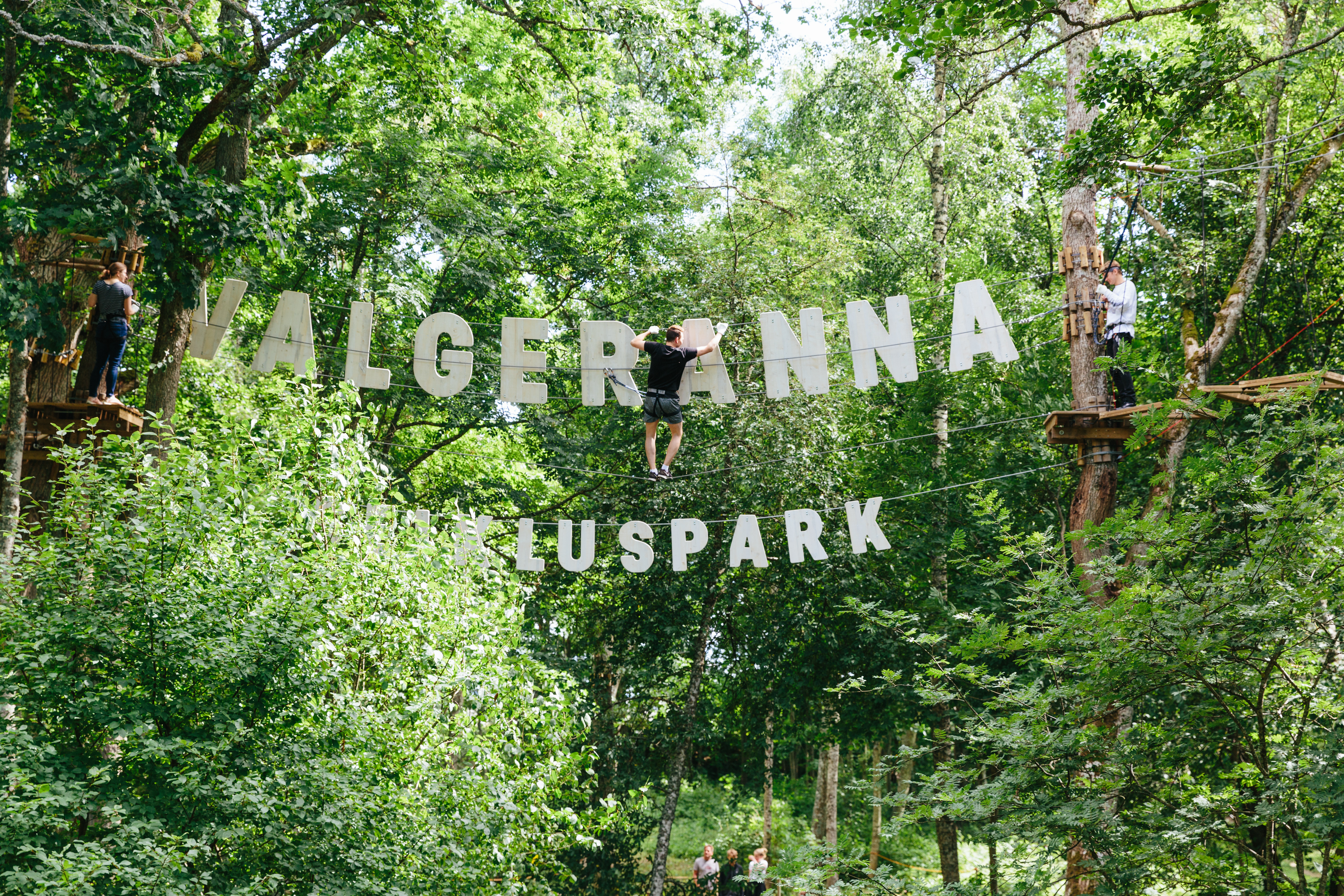 Etsitkö jännitystä ja uusia haasteita sekä aktiivista lomaa perheen ja ystävien kanssa? Valgerannan seikkailupuisto on oikea valinta! Puiden latvoissa