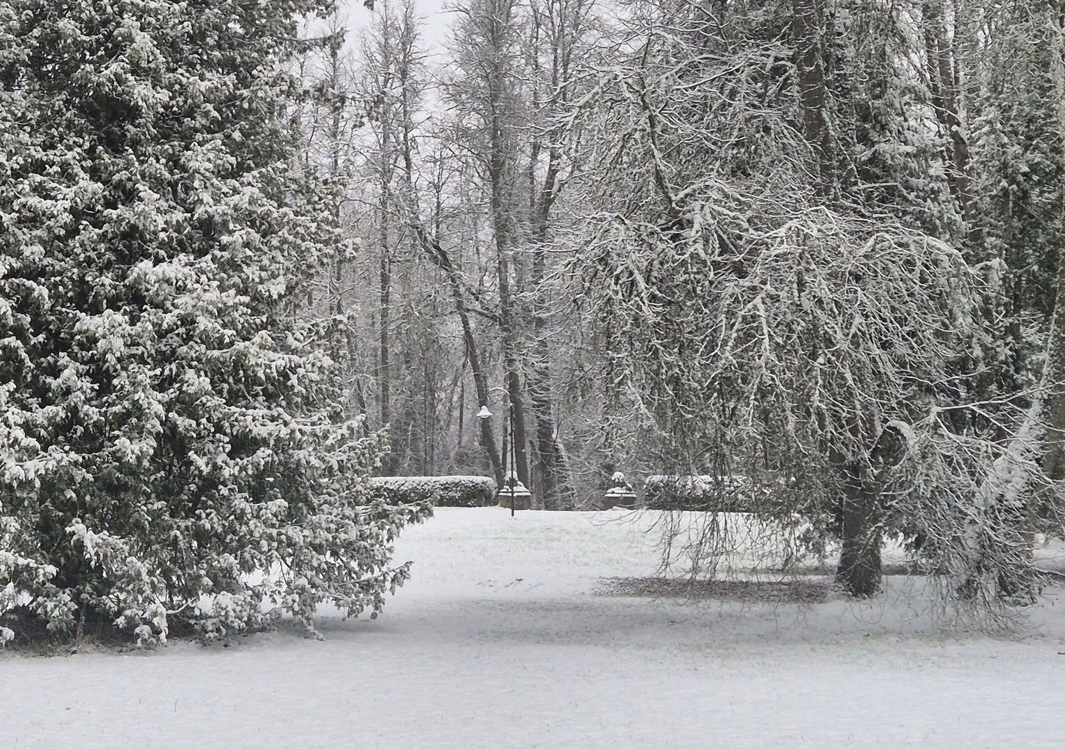 Lukes muižas sirds ir skaists neobaroka parks, kas pilns ar apstādījumiem un ziediem dažādos līmeņos ar terasēm, unikālas formas kokiem, betona lauvu 