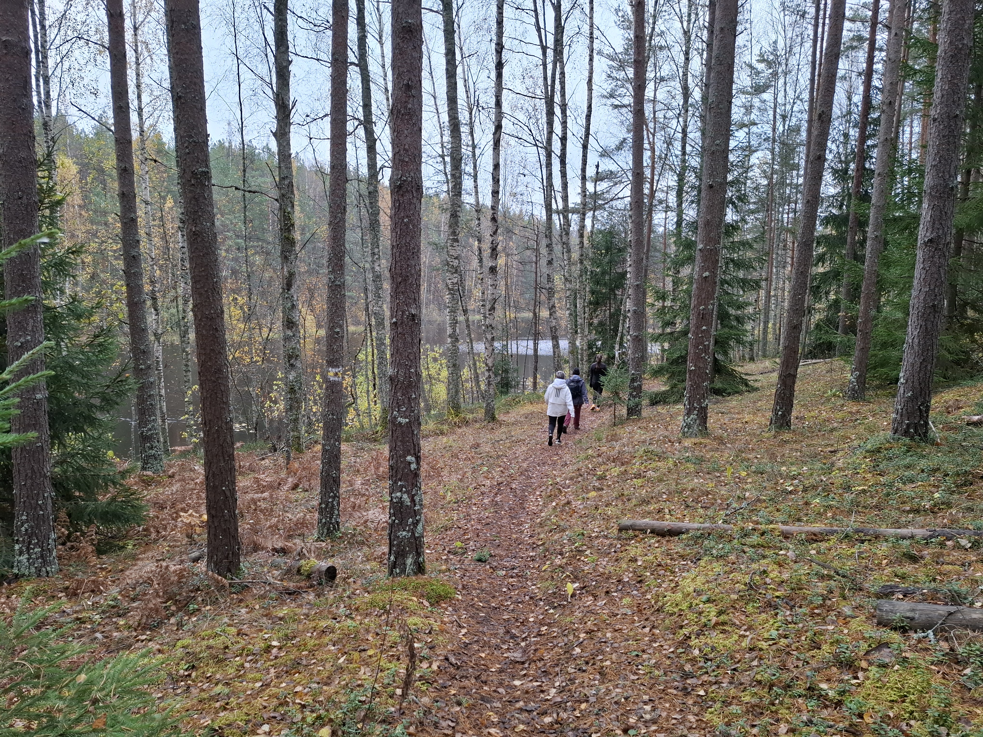 Alutaguse Tervisespordikeskuse juures rada järve ääres