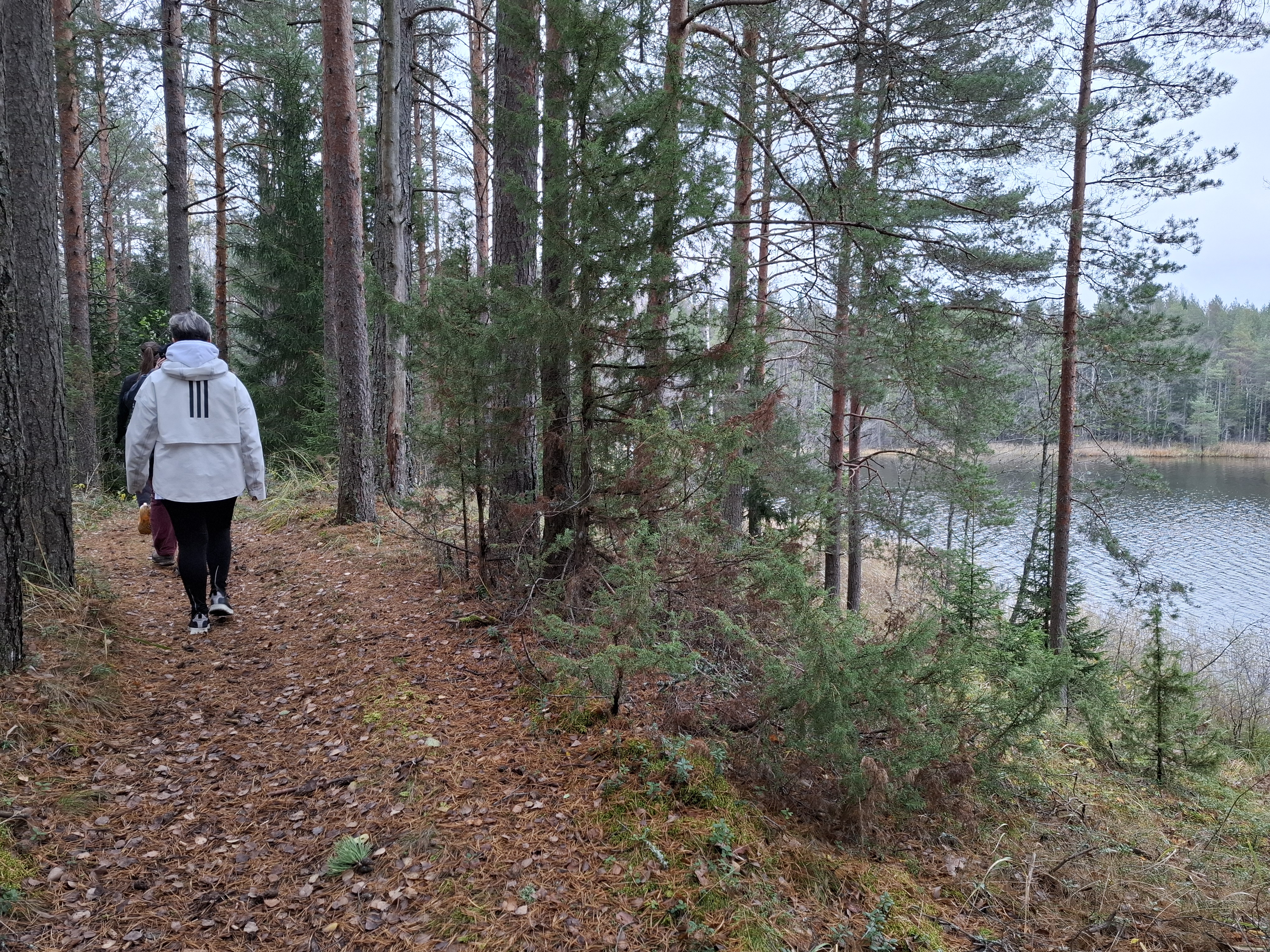 Alutaguse Tervisespordikeskuse juures rada järve ääres