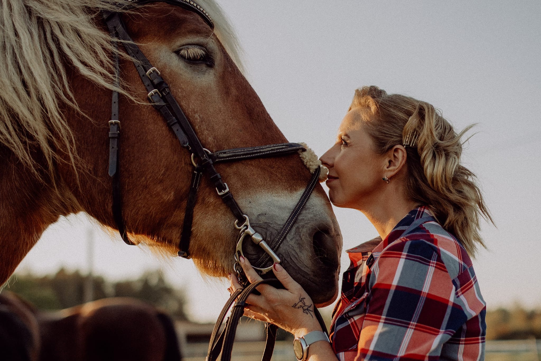 Rootsikalmu Ratsatalu & Loomaaed