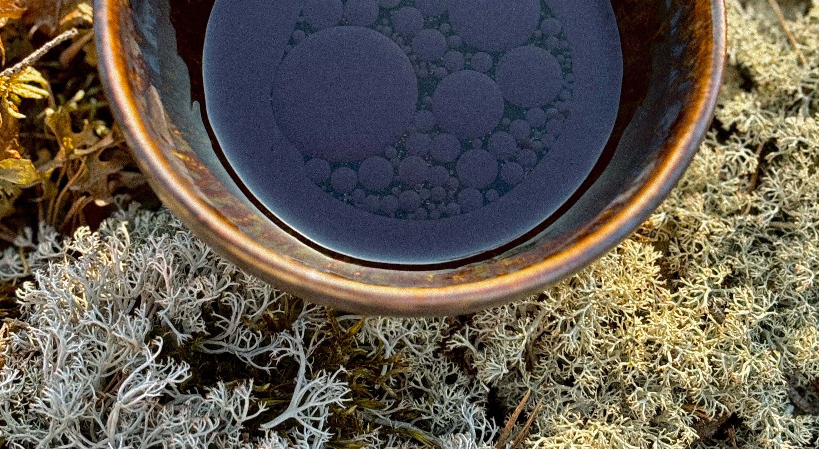 Hiis Restorani elamusõhtusöögi menüü - tomat/karulauk