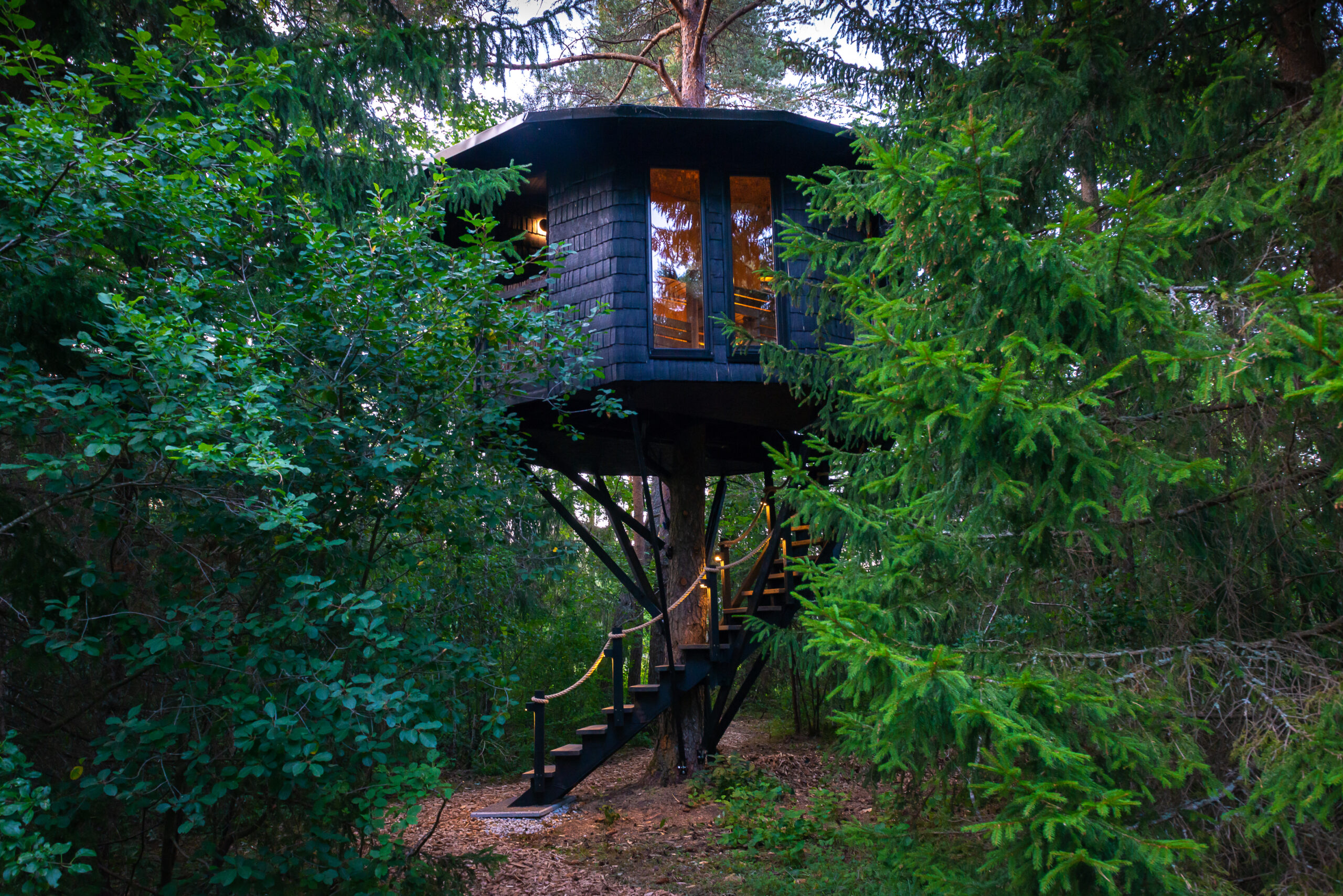 Kas oled kunagi võtnud leili puu otsas? Suurepärane võimalus nautida saunamõnusid 4 m kõrgusel männi otsas ja võtta sooja dušši vabas õhus. Puumajas o