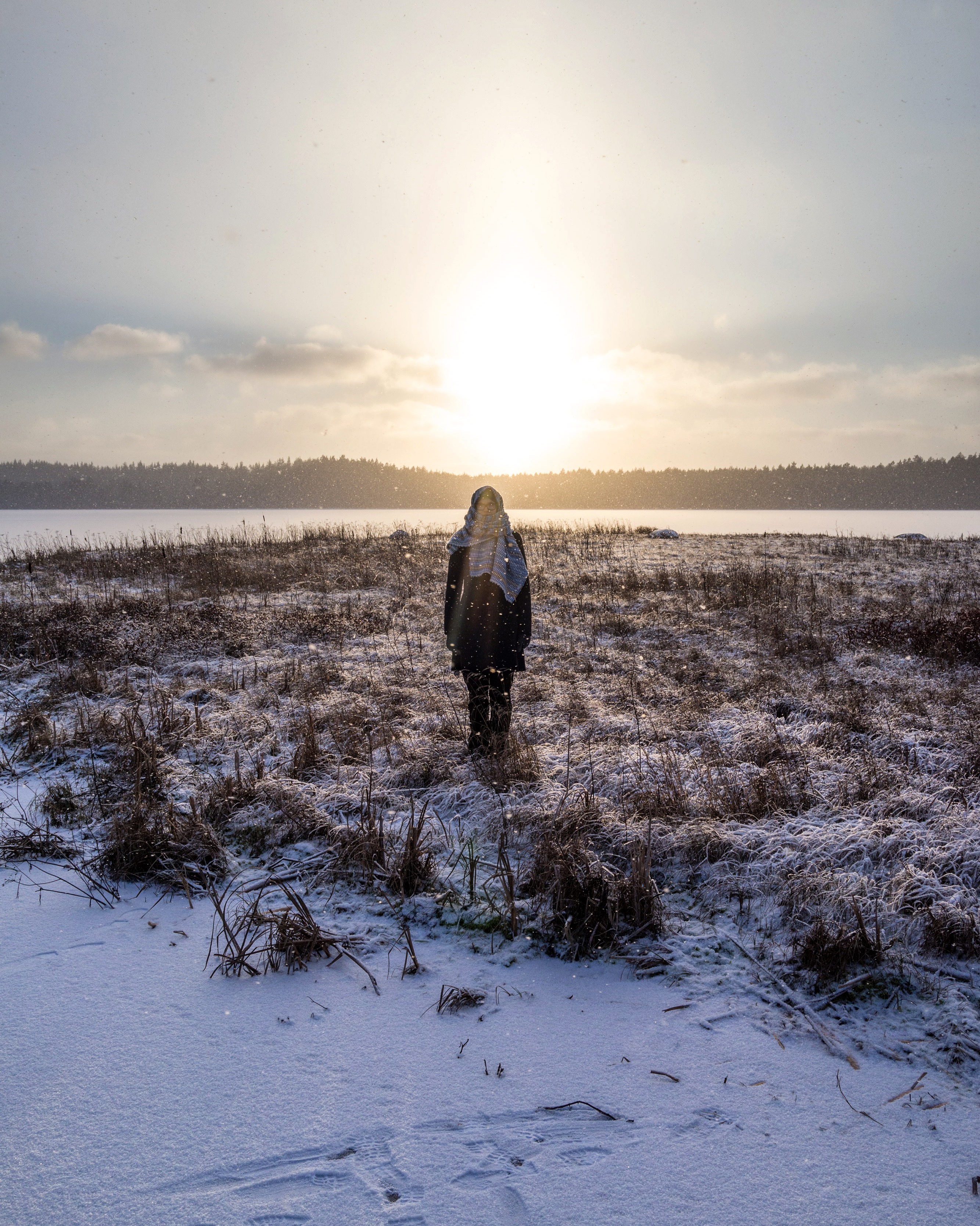 Apvidus aizsargājamās teritorijas mērķis ir Vormsi salas reto ainavu, kultūras mantojuma un augu aizsardzība. Vormsi piekrastes divas starptautiski no