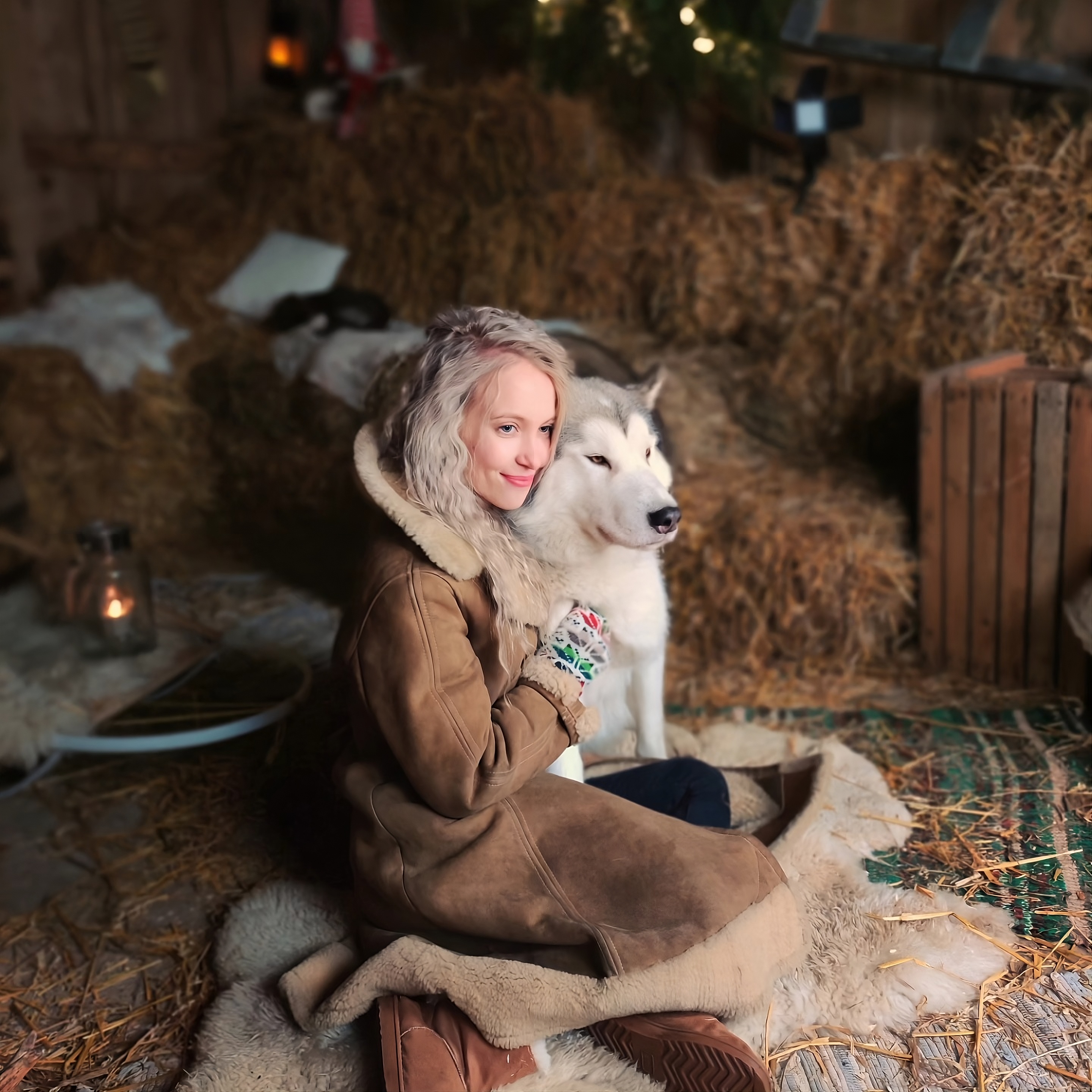 Kelgukoertega pildistamine fotostuudios