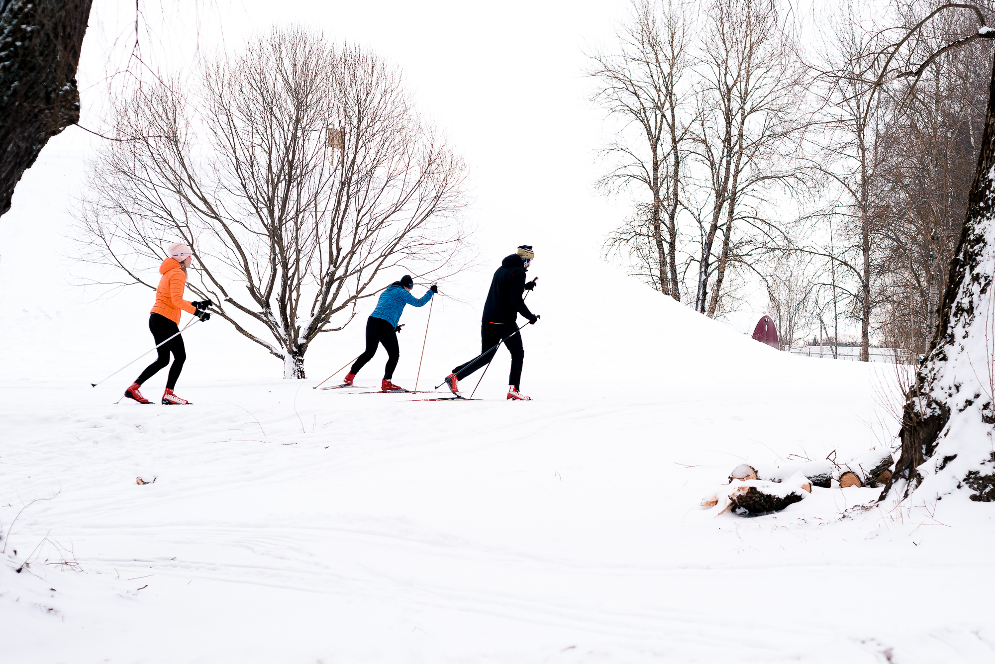 Tähvere spordipargi suusarada