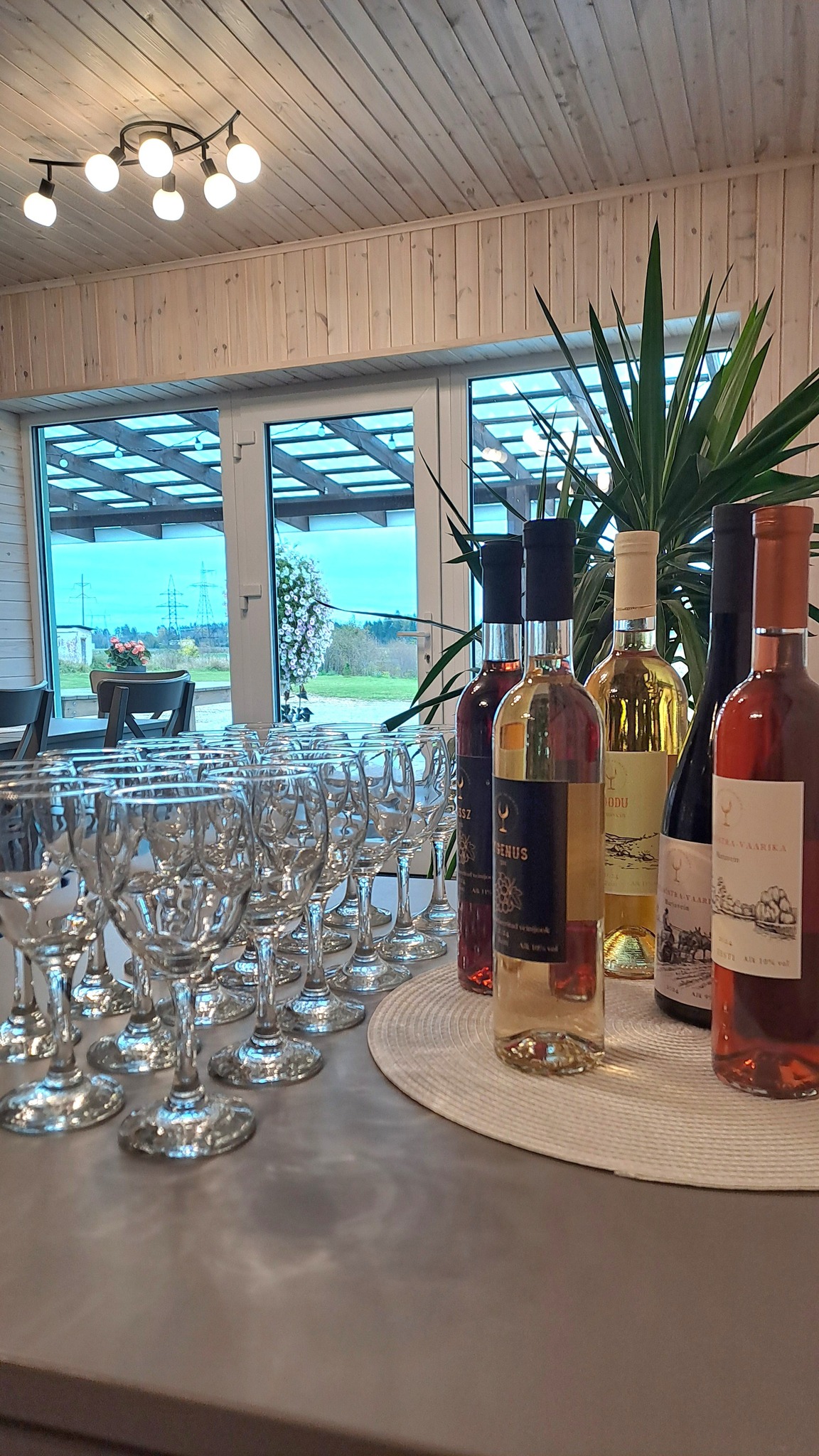 Lüganuse Veinikoda ja veinid