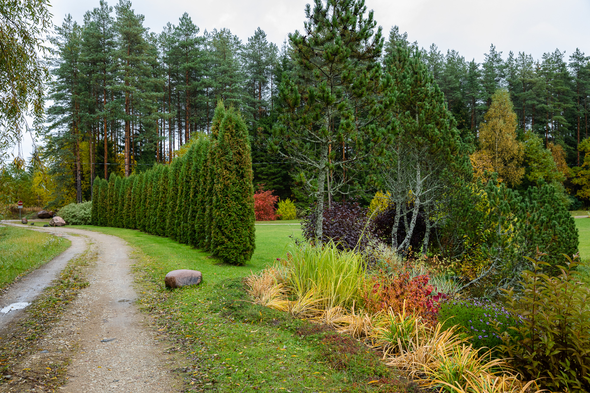 Tee saunamaja juurde