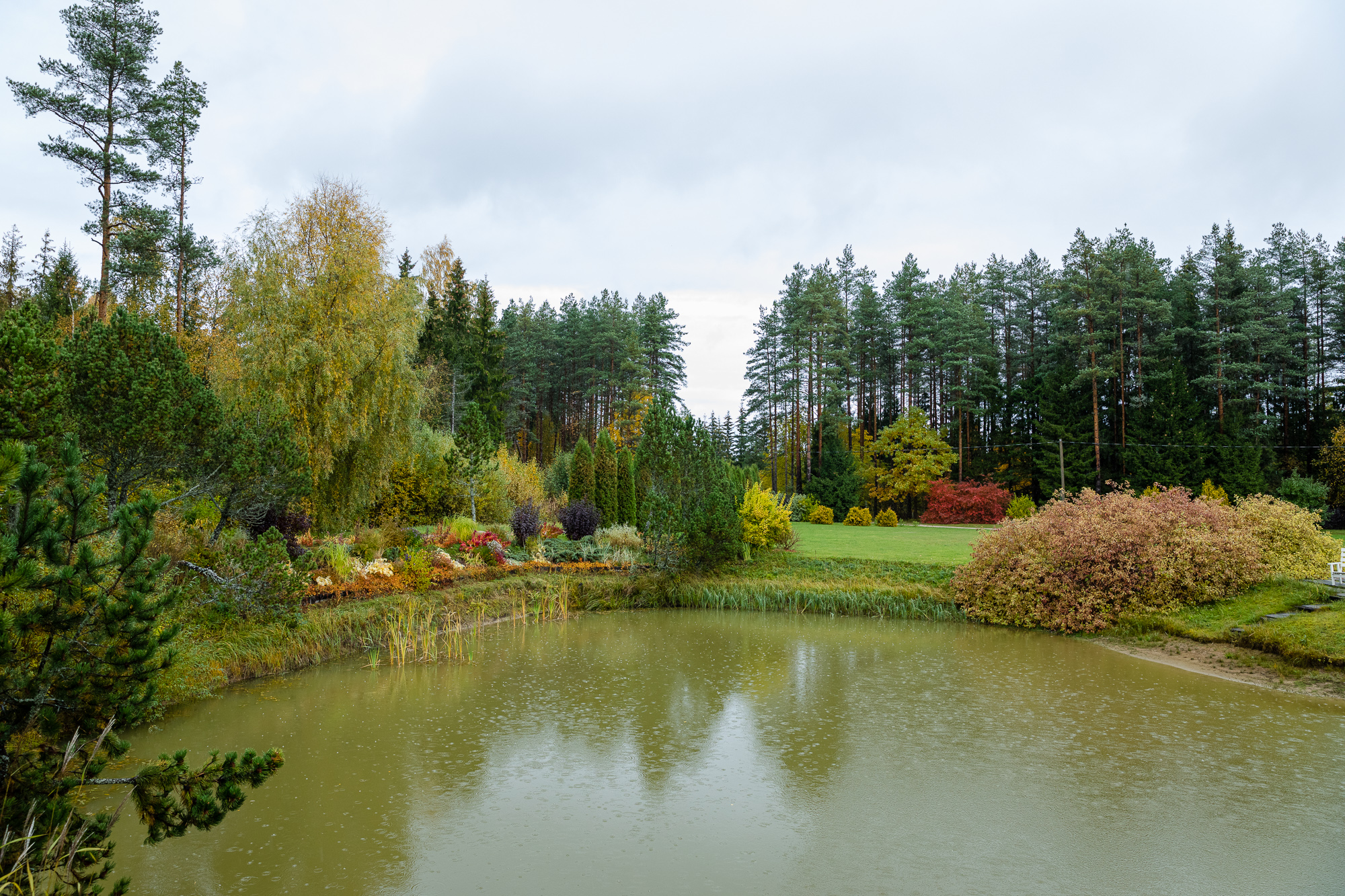 Vaade tiigile saunamajast