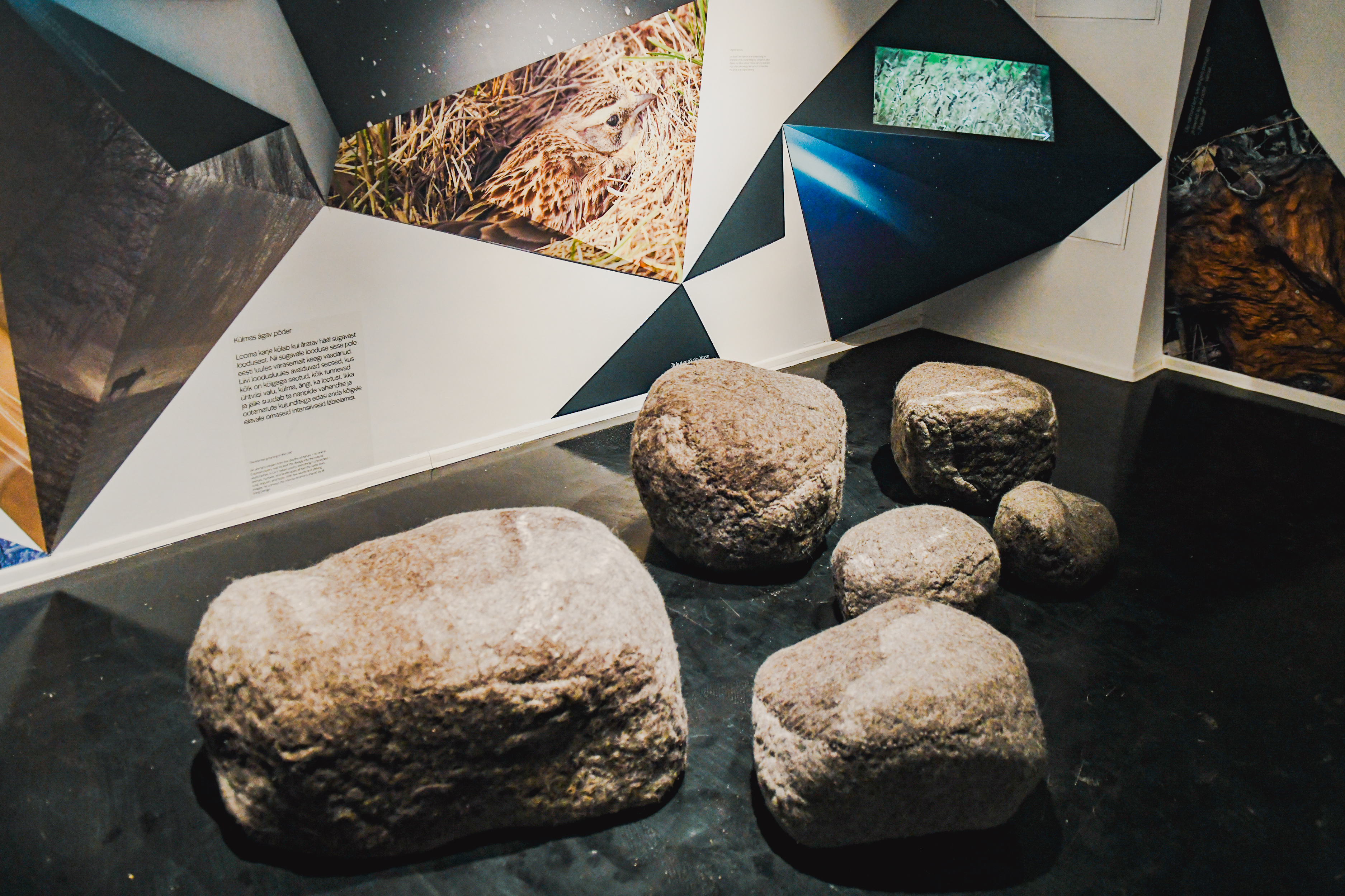 New exhibition at the Juhan Liiv Museum