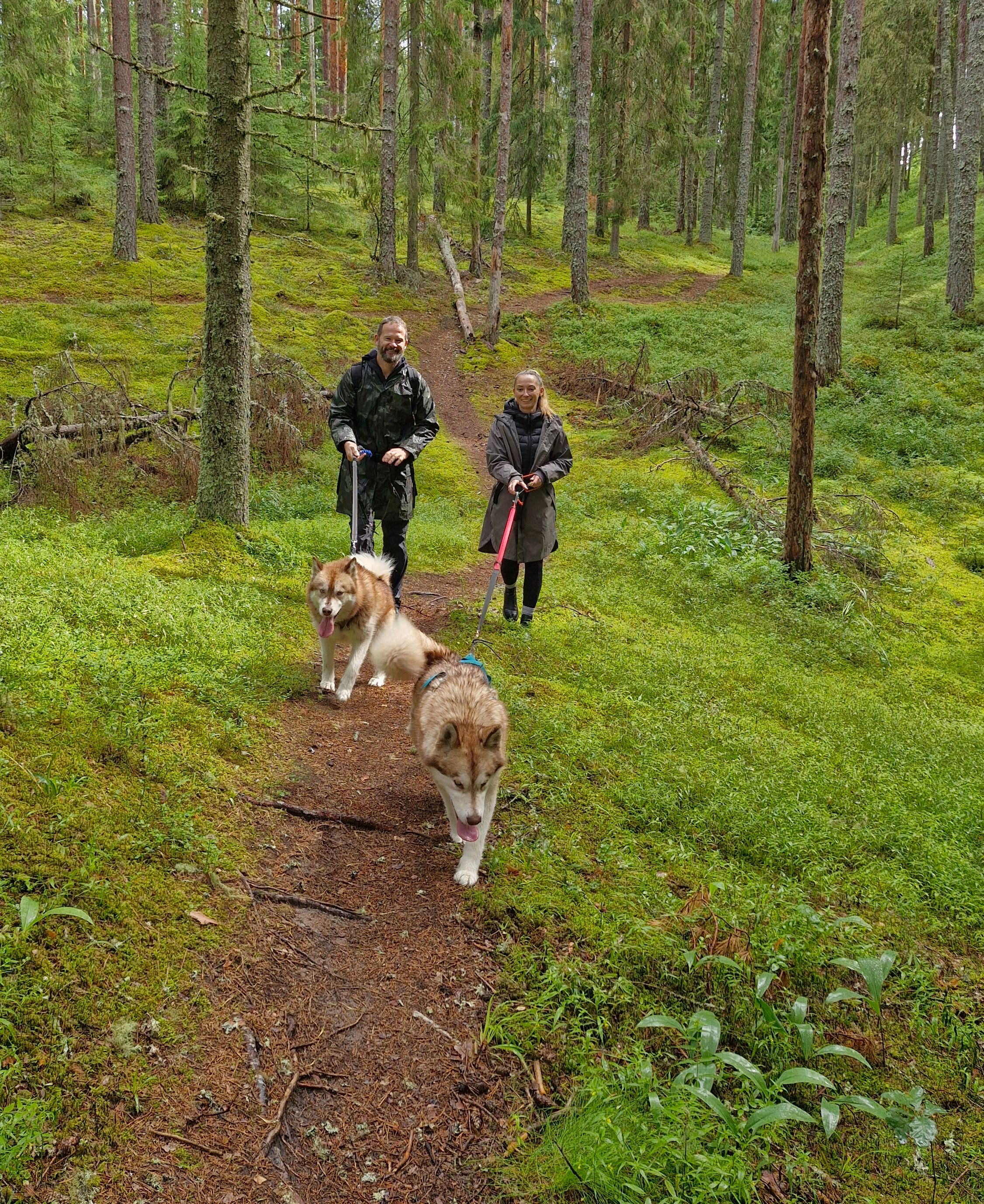 Matkajad koertega männimetsas ja roheluses