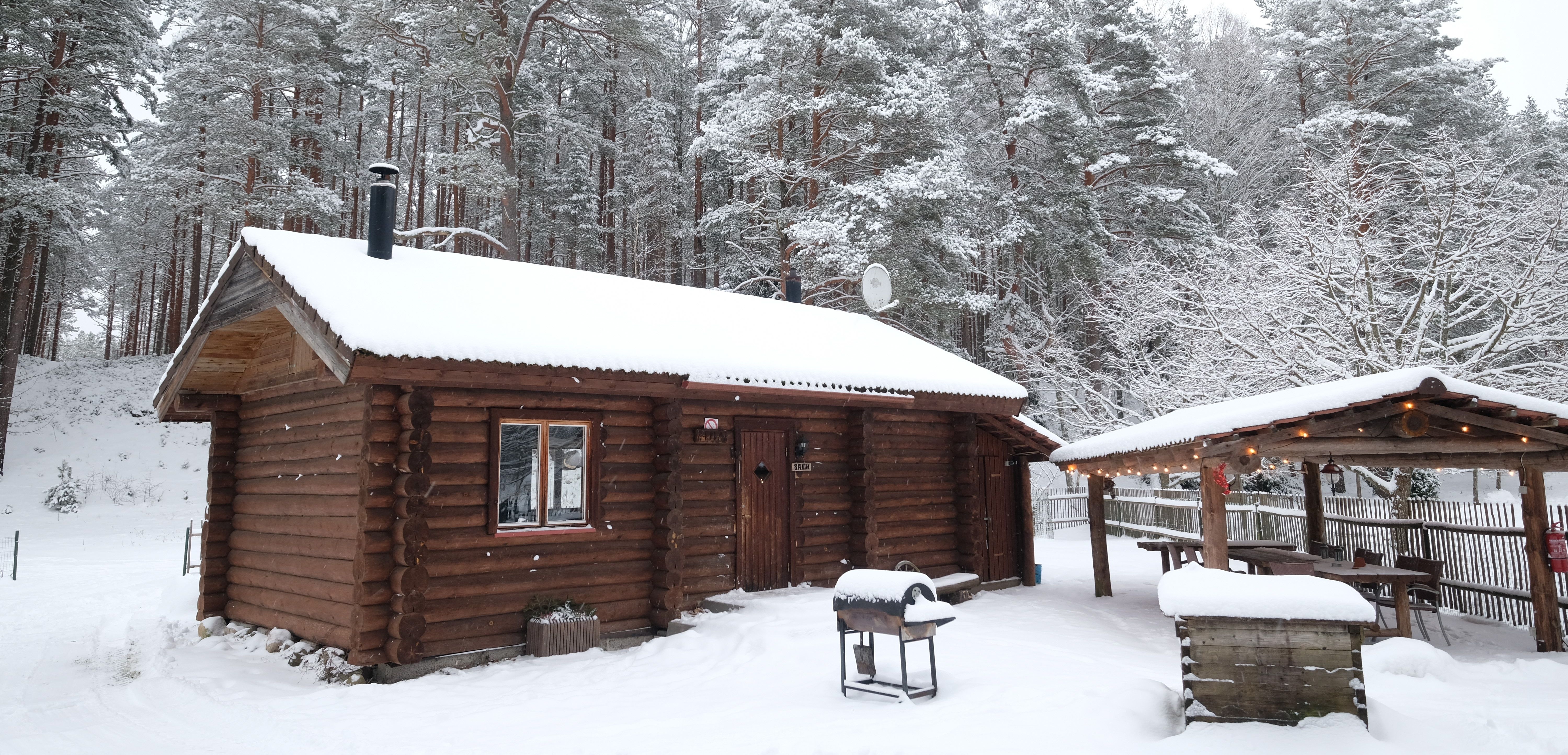 Sauntareke Ella talvel