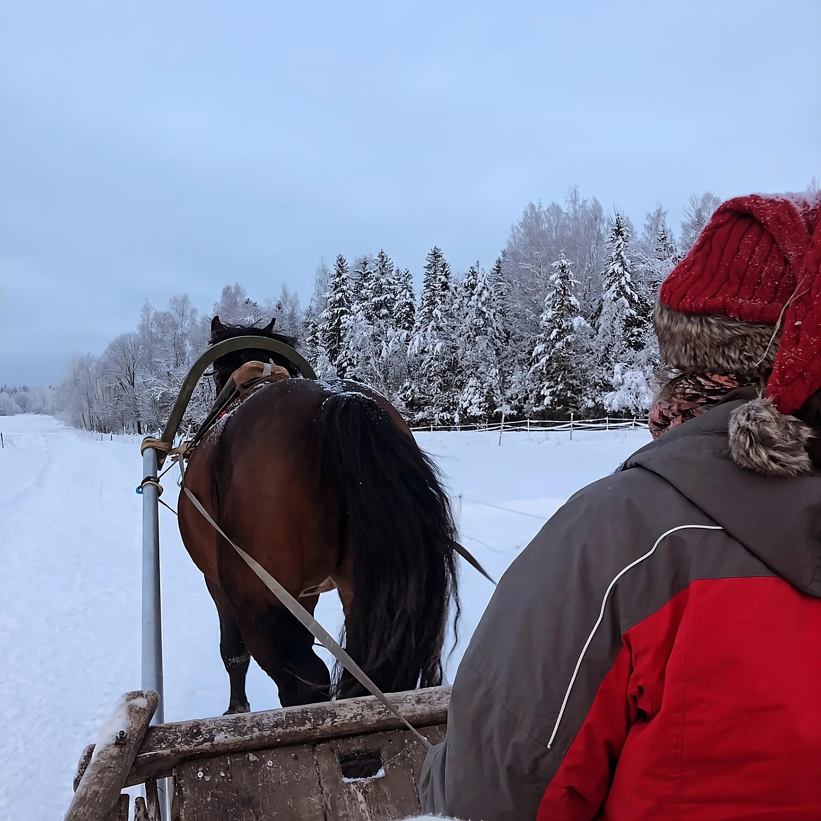 Reesõit talvel Kalaoja talus