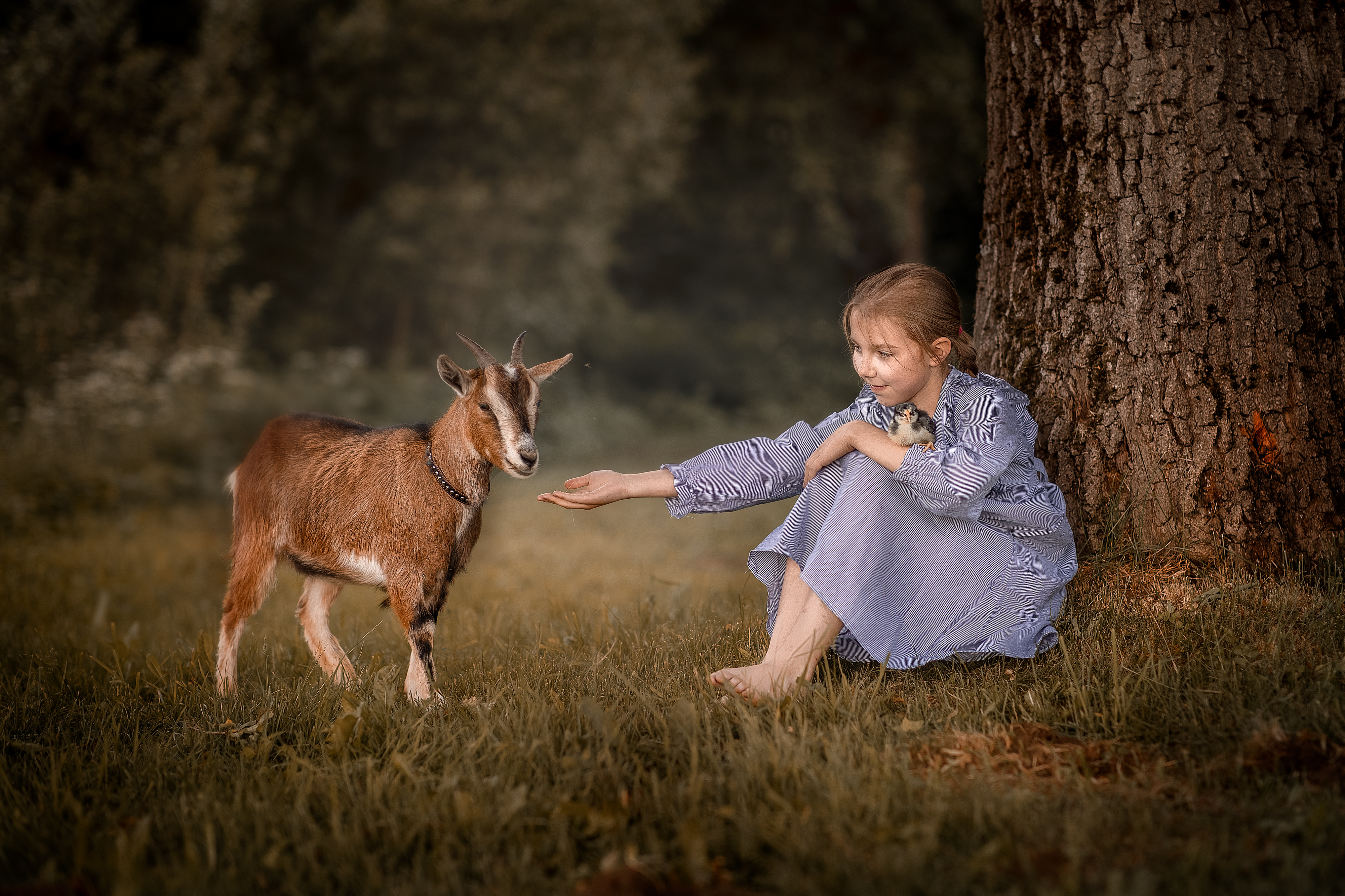 Rootsikalmu Ratsatalu & Loomaaed