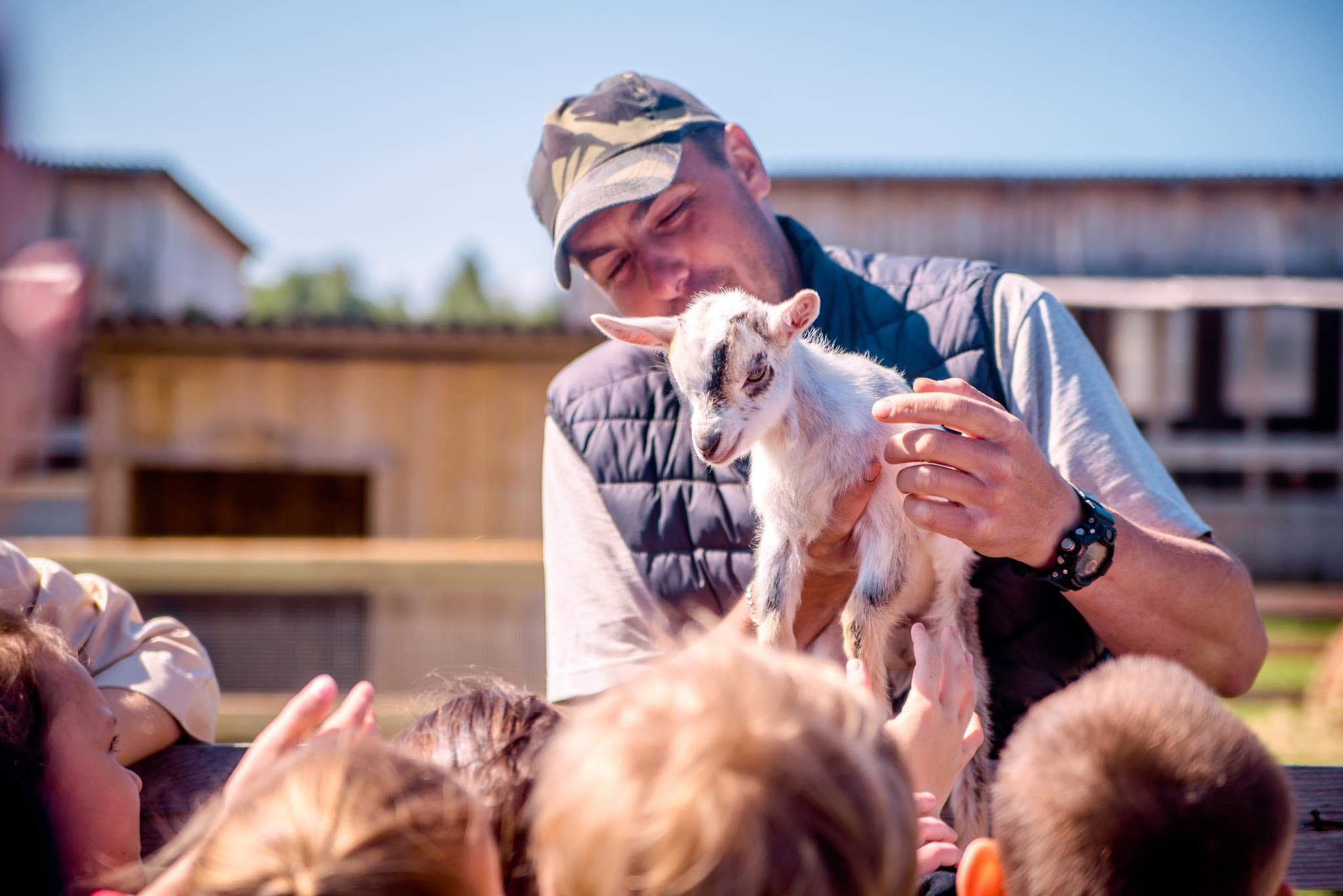 Rootsikalmu Ratsatalu & Loomaaed