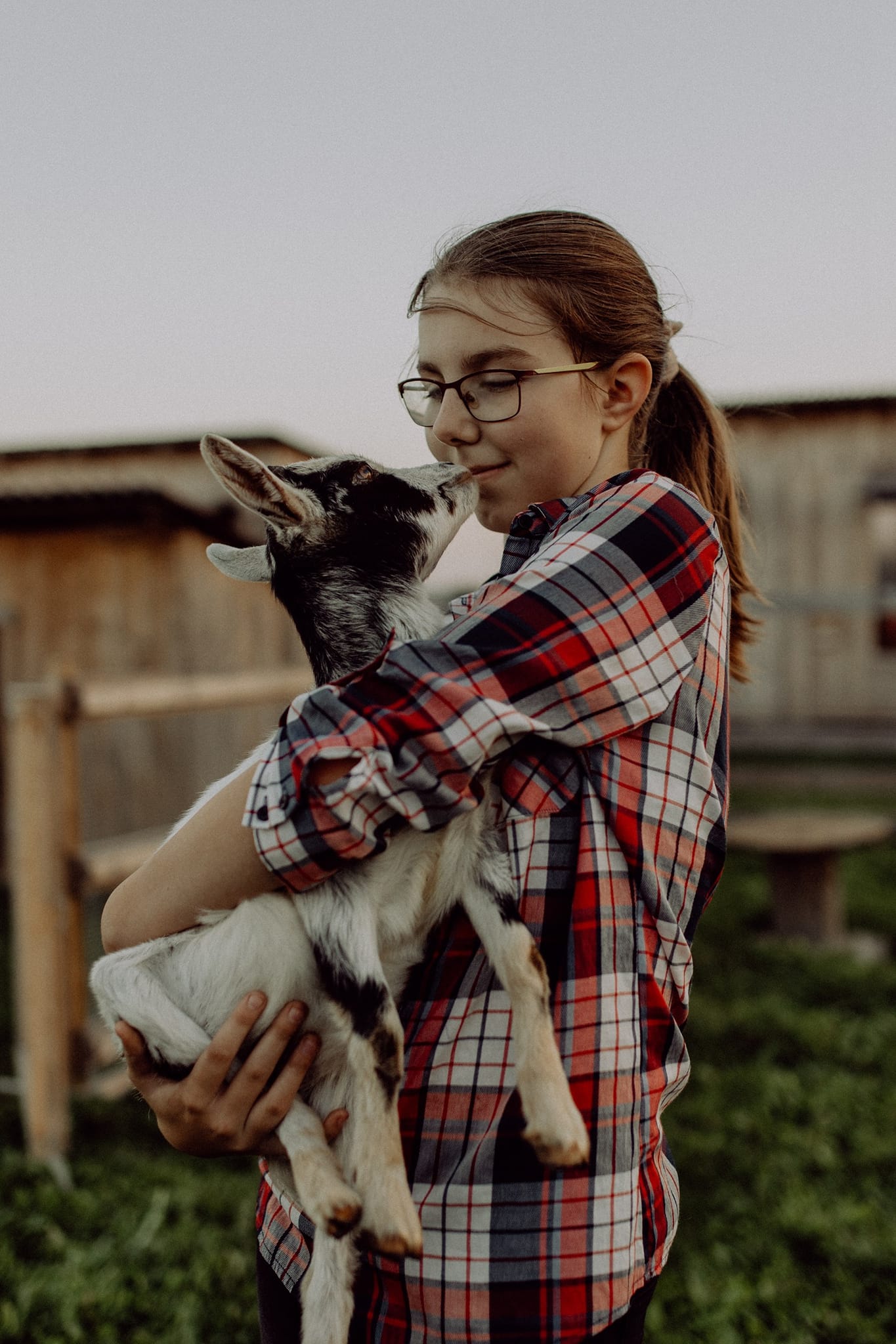 Rootsikalmu Ratsatalu & Loomaaed