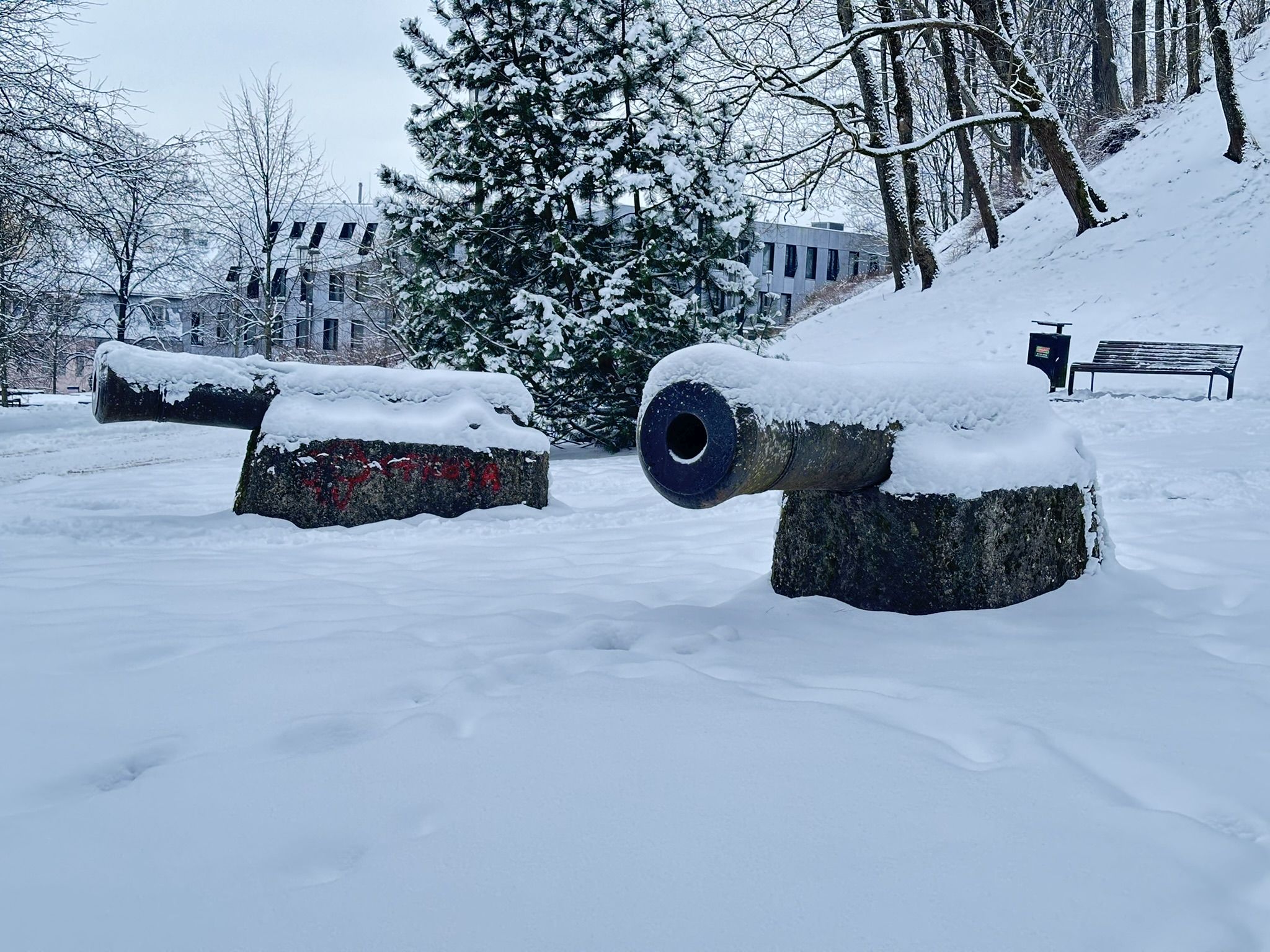 Tartu Püssirohukeldra lielgabali ziemā