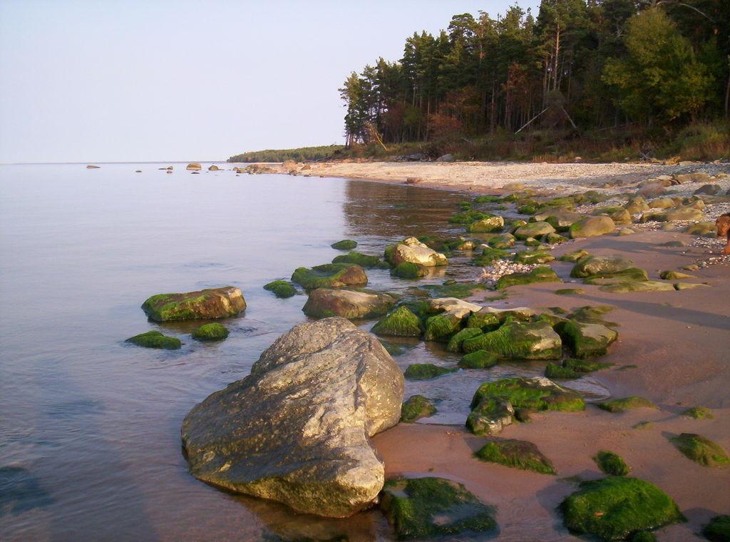 Northern Coastline of Estonia