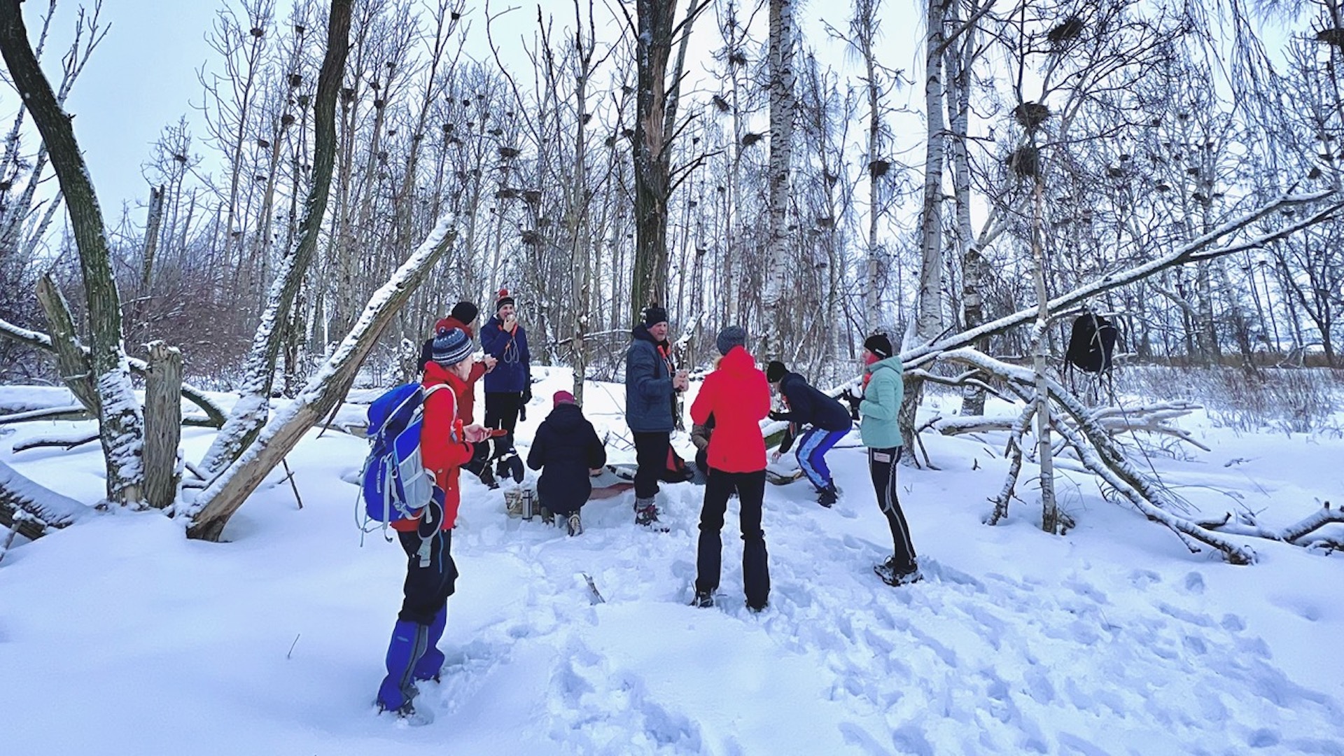Observation of the cormorant colony on Salosaare and a kick sledding lunch break on a snowy island