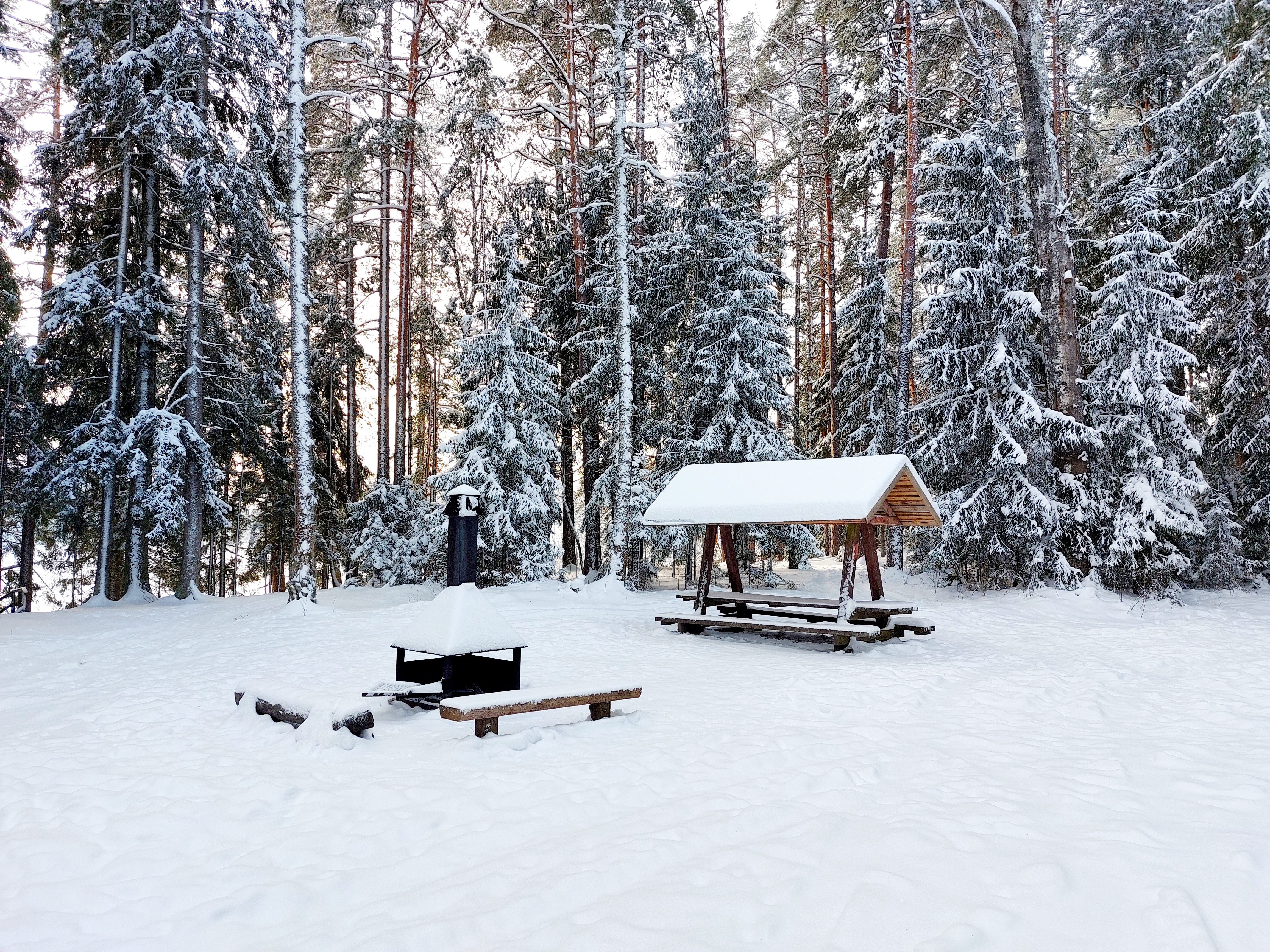 Kaljupealse lõkkekoht talvel