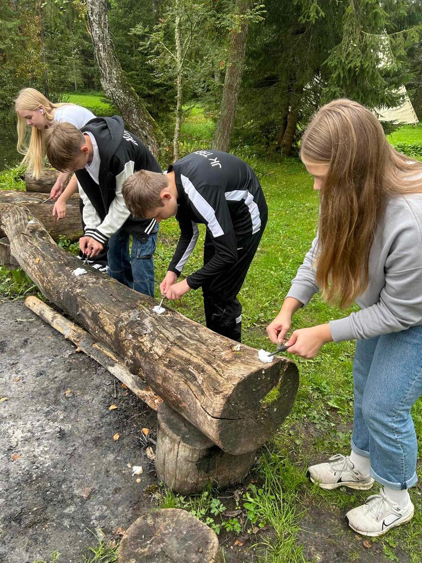Guided hike: “Survivor in Nature or Preparing for Crisis Survival in Nature”