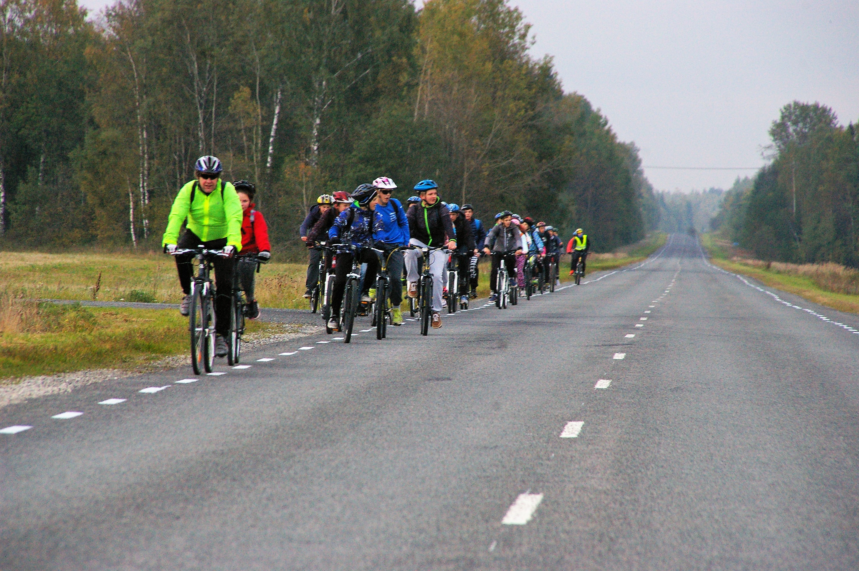 Metsamõisa jalgrattarent