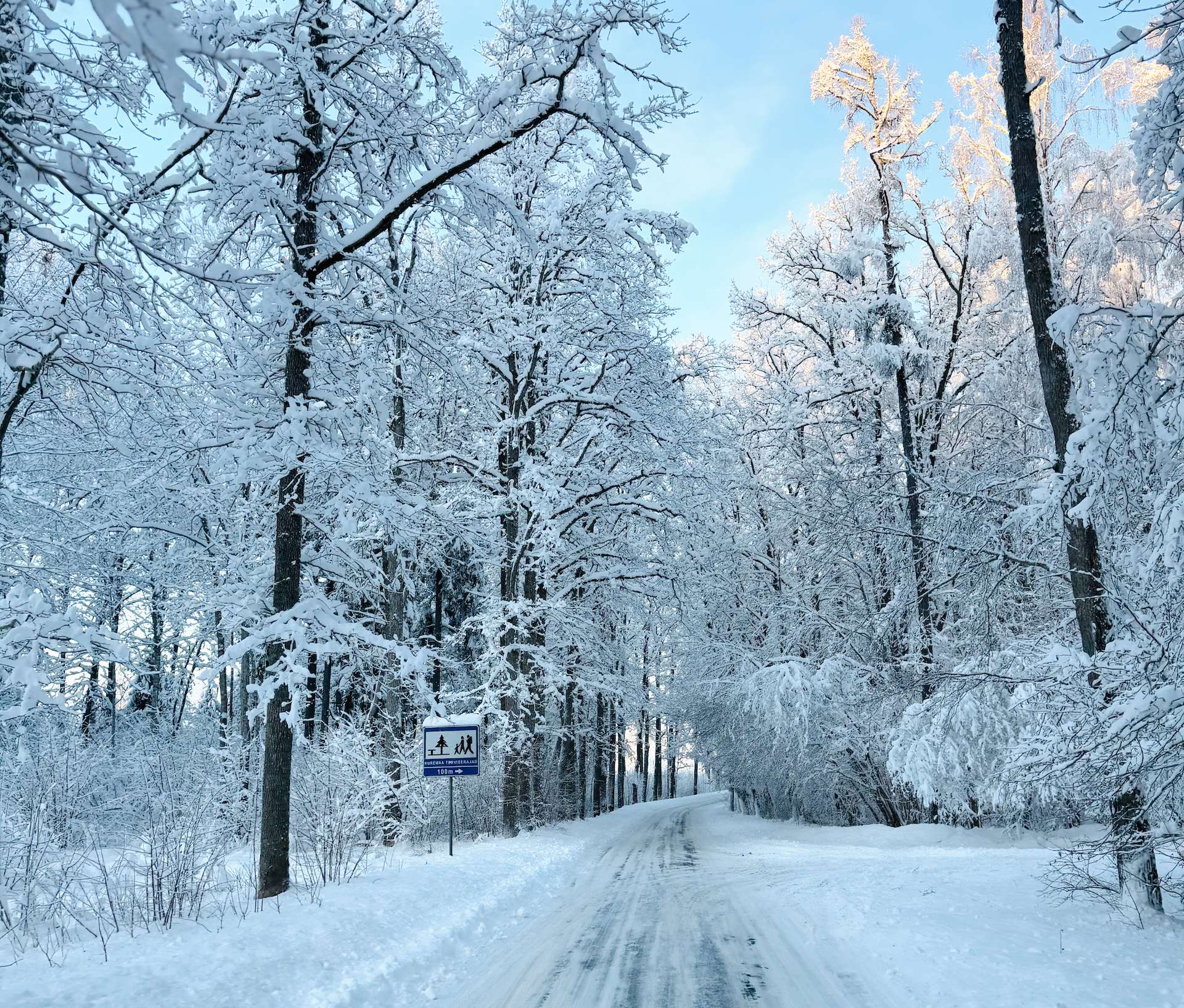 Kuremaa Terviserajad