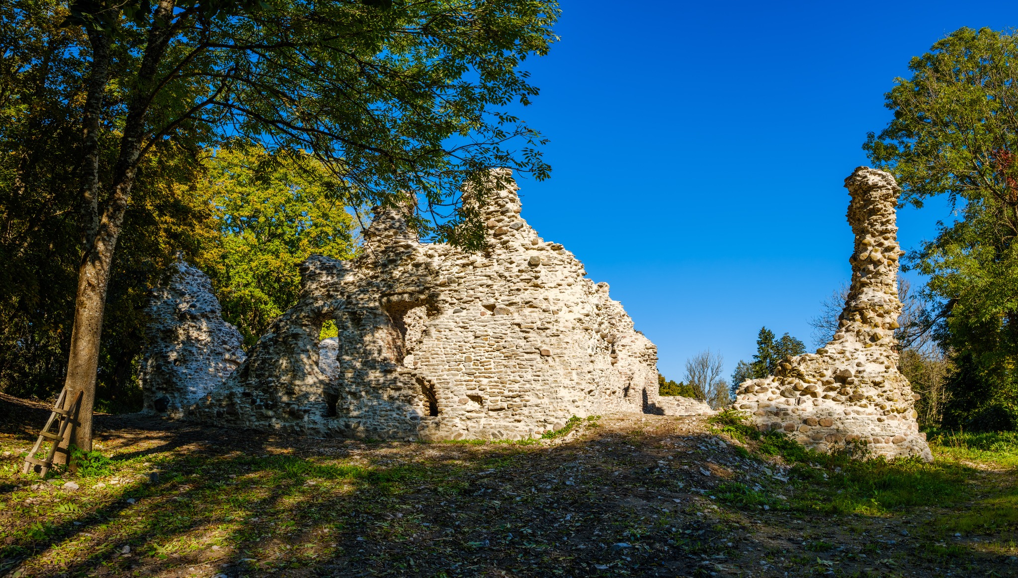Angerja vasall-linnus